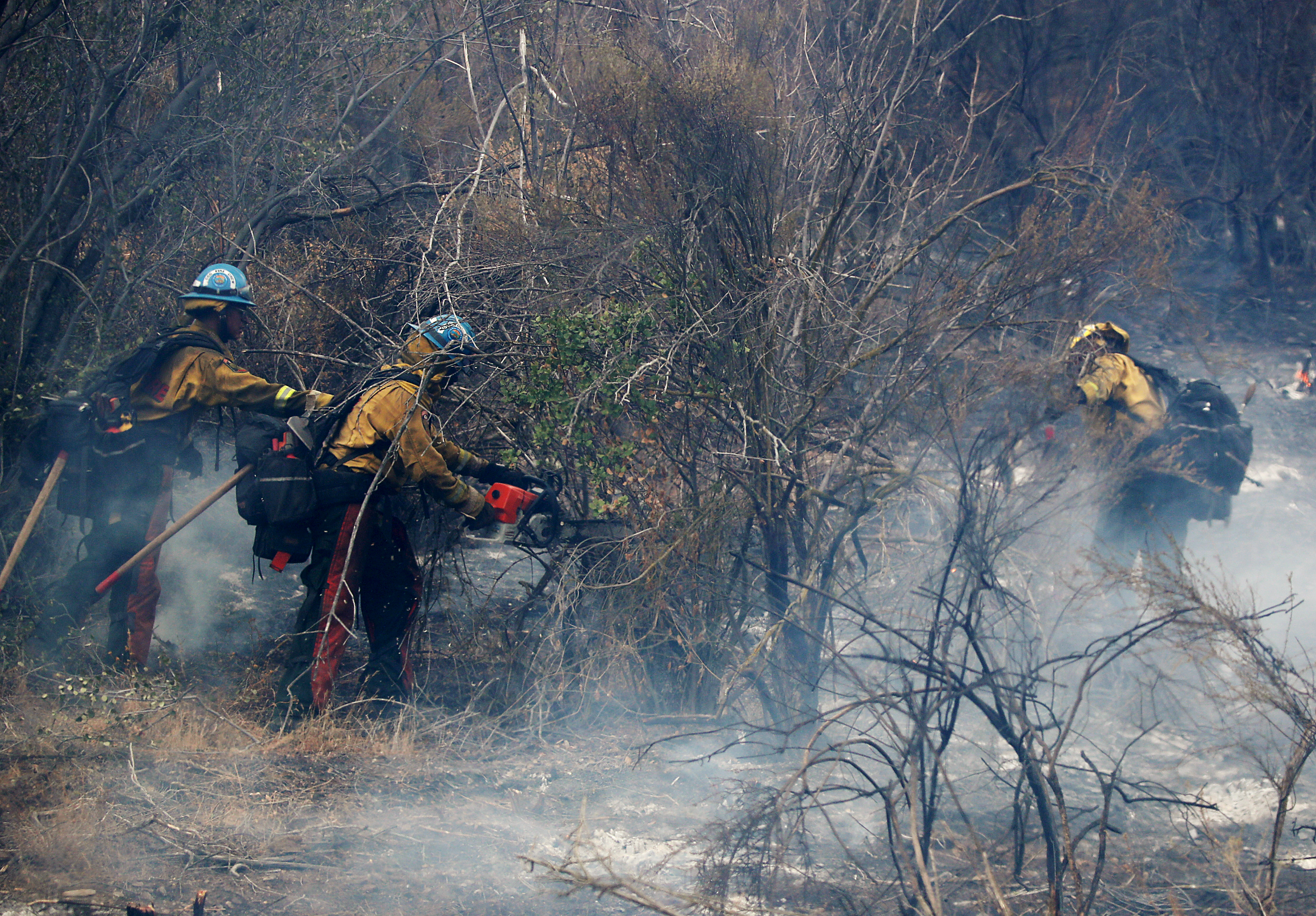 What wet winter? California prepares for peak wildfire season - Vimarsana News