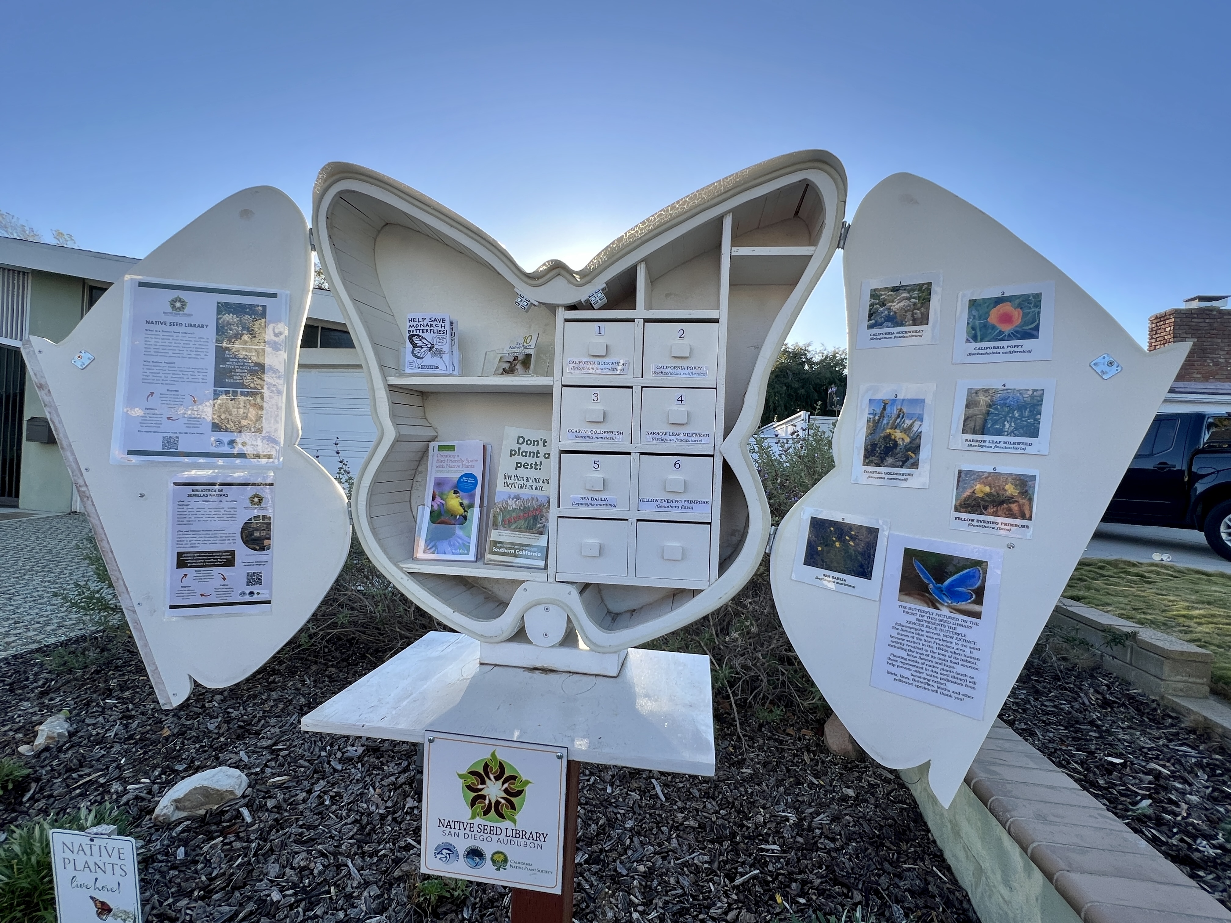 'Soledad Mountain Seed Library': La Jolla resident welcomes locals to plant for biodiversity - Vimarsana News