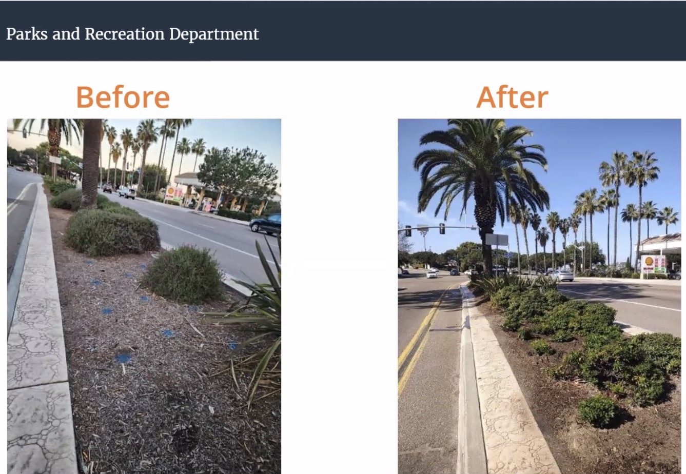 'Moving in a positive direction': La Jolla Shores group hears about median improvements at 'The Throat' - Vimarsana News
