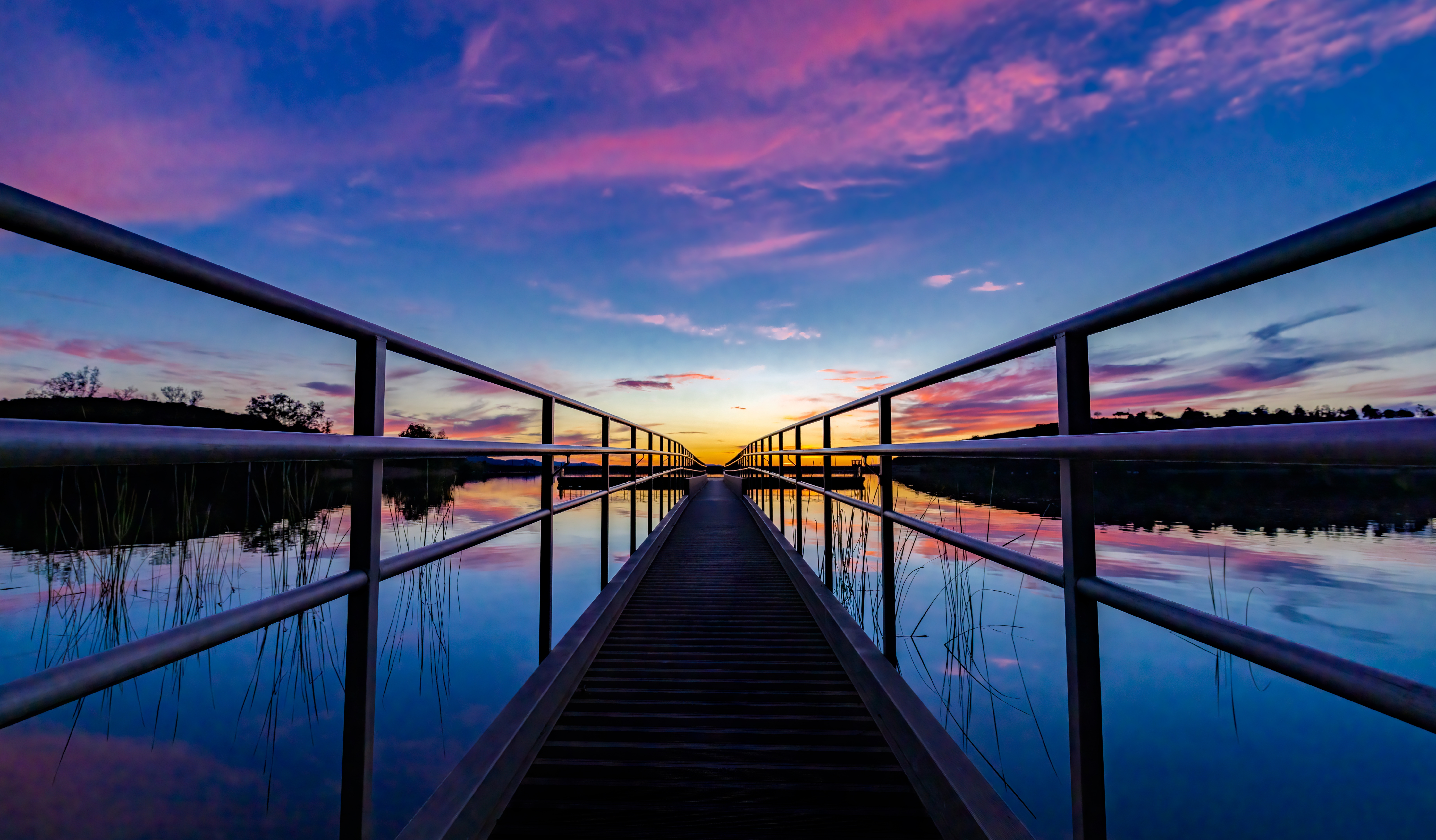 East County Happenings, July 17 - Vimarsana News