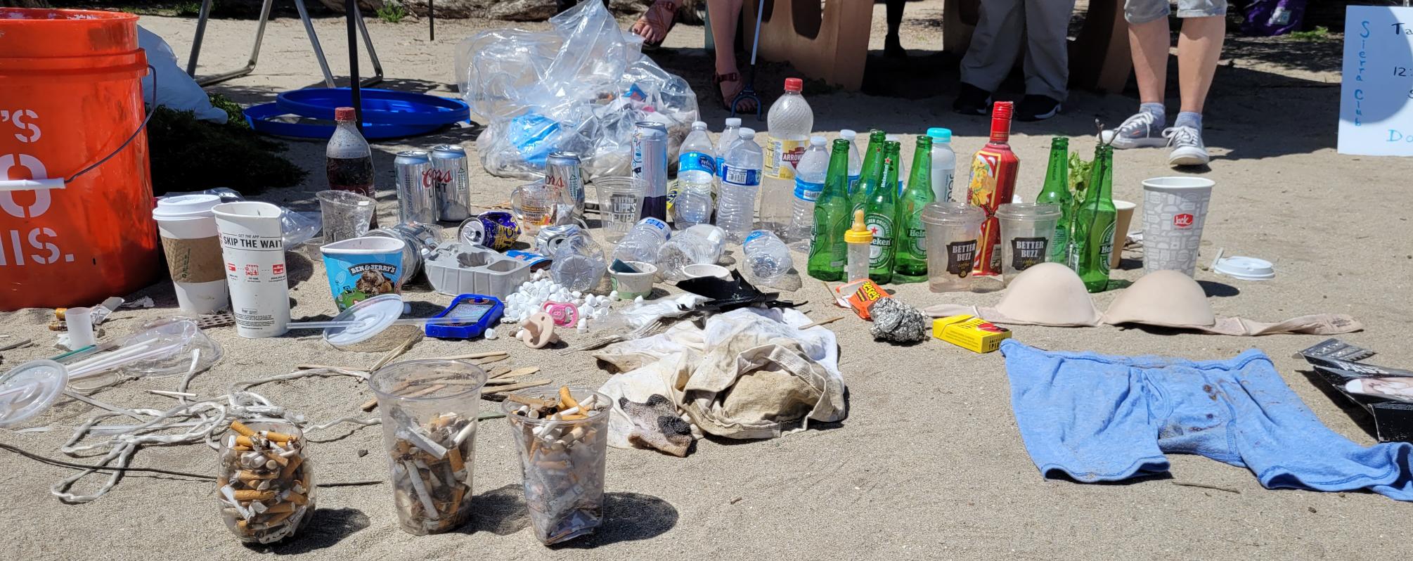 La Jolla News Nuggets: Beach cleanup, climate club, UCSD construction, weed-pulling party, more - Vimarsana News