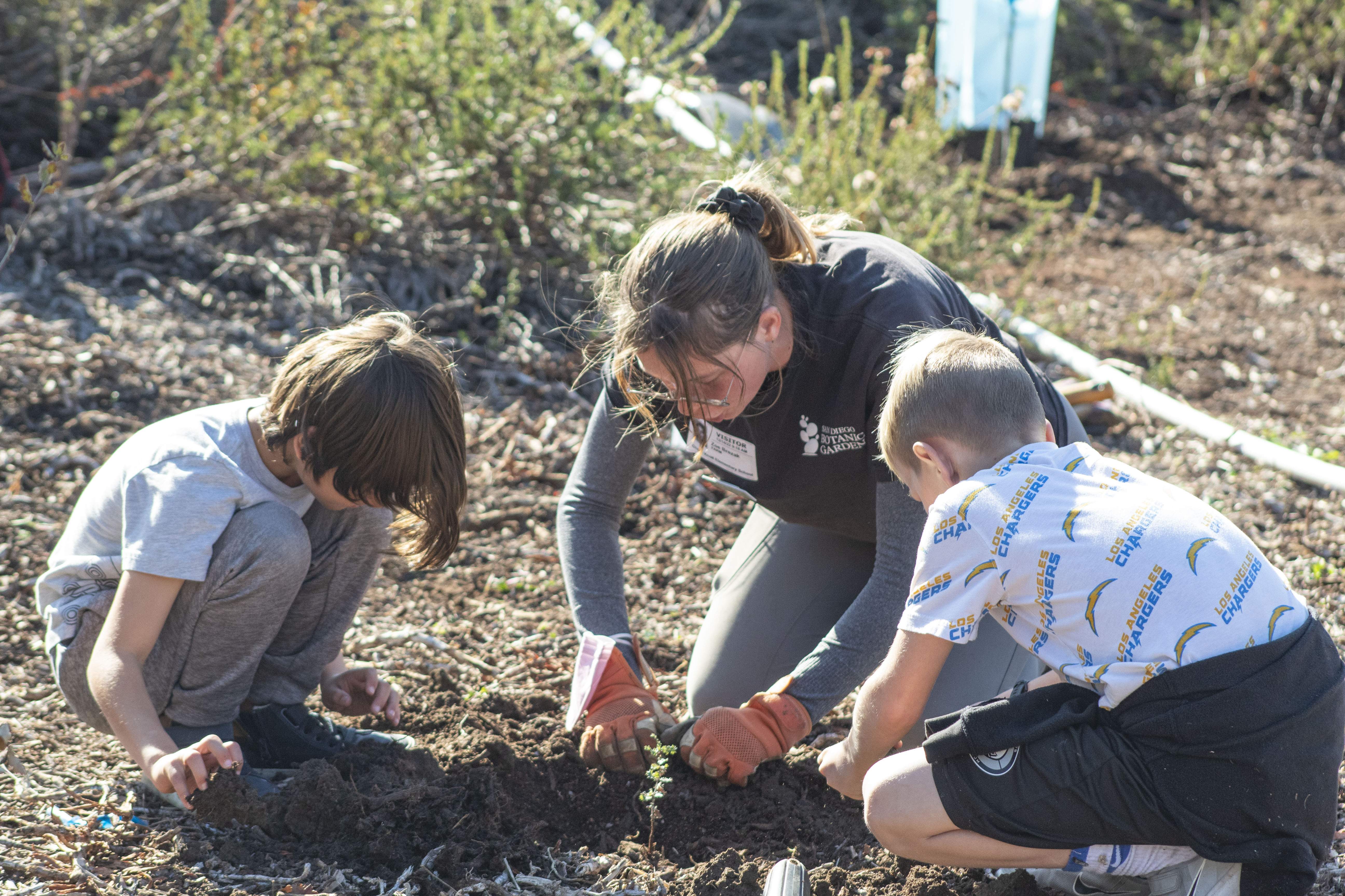 North County School News, Feb. 12: Encinitas students plant native oaks; Valley Center HS teacher wins award - Vimarsana News
