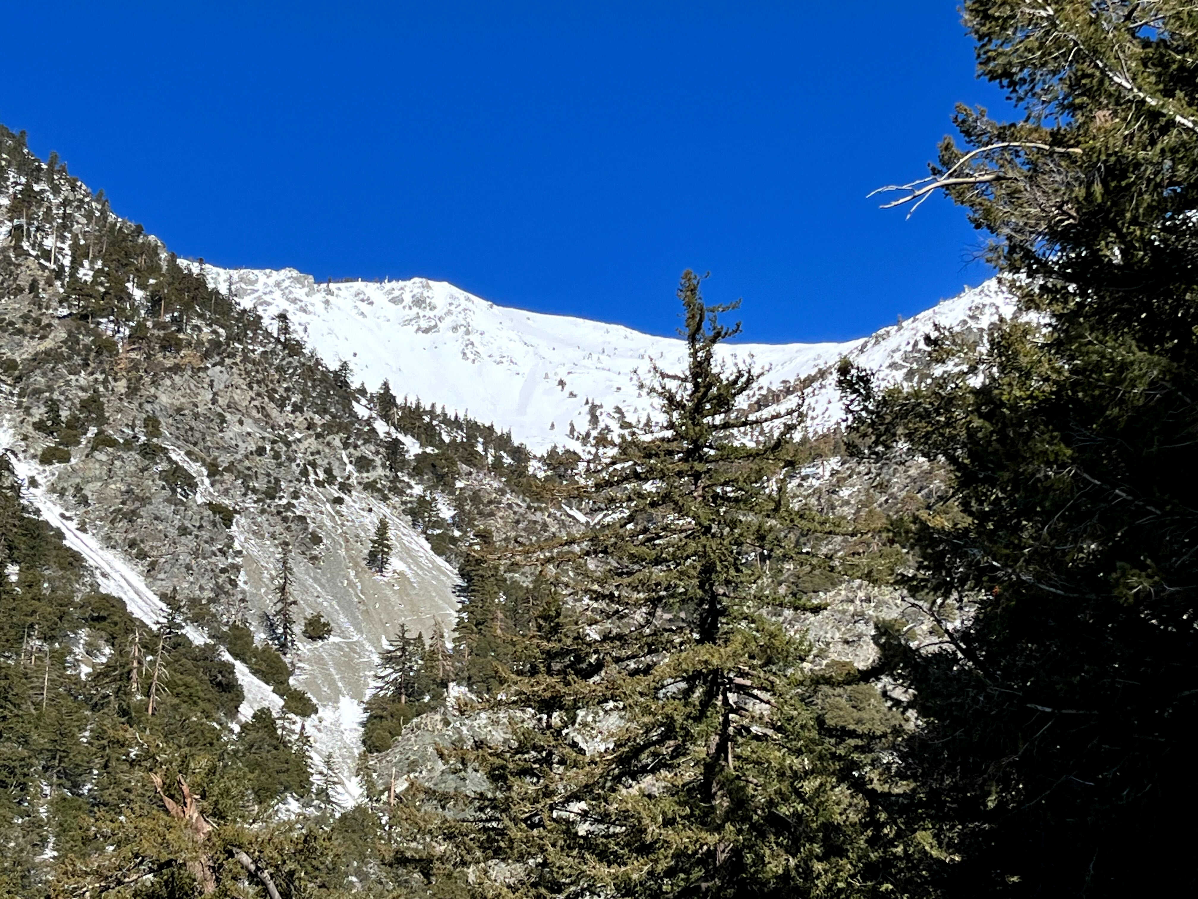 Mt. Baldy is dangerous. Stay away, even you experienced hikers - Vimarsana News