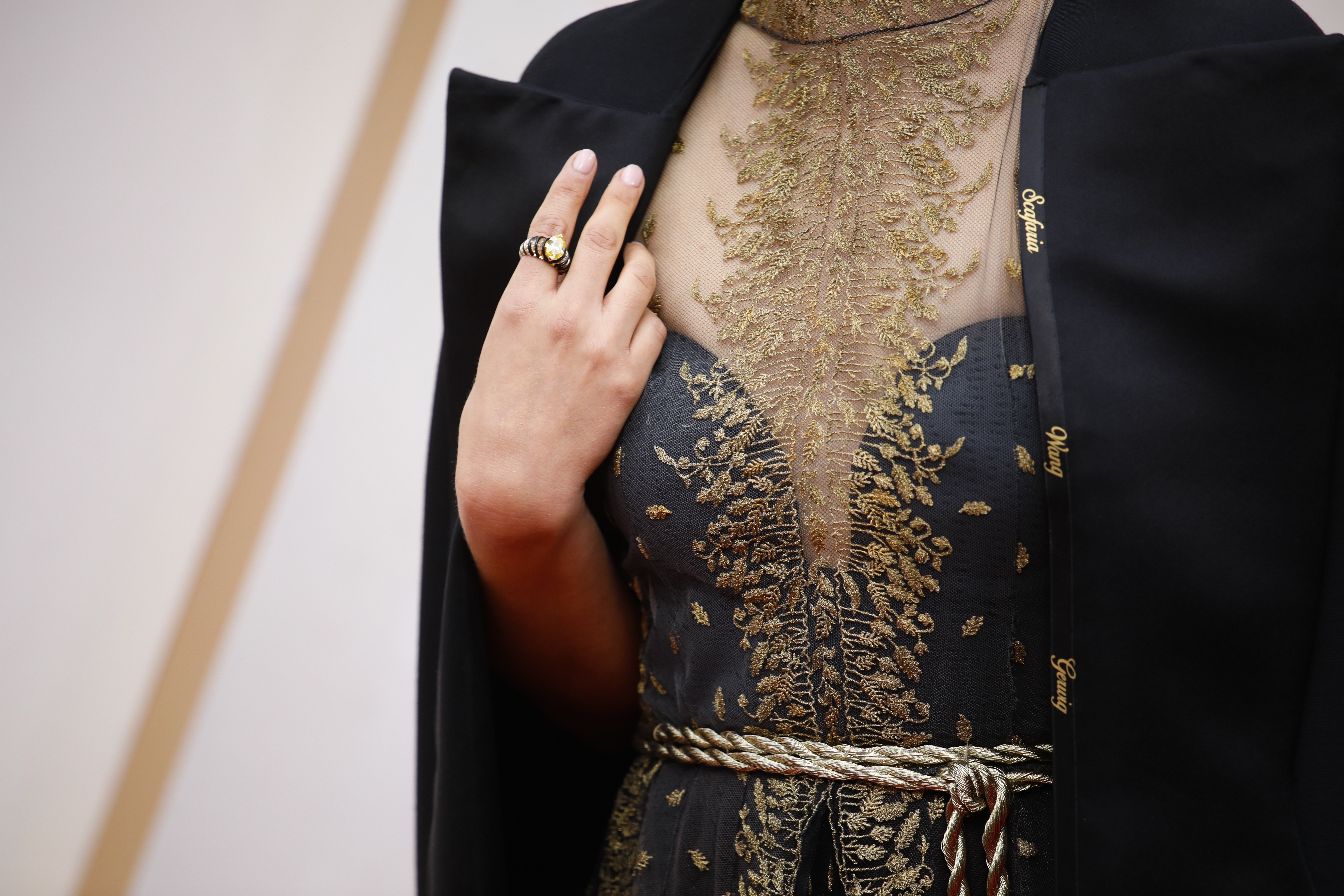 Abcarian: My Oscar prediction: Fashion will meet the political moment - Vimarsana News