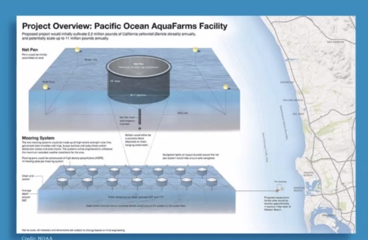 La Jolla Town Council hears concerns about fish farm proposed off the local coast - Vimarsana News