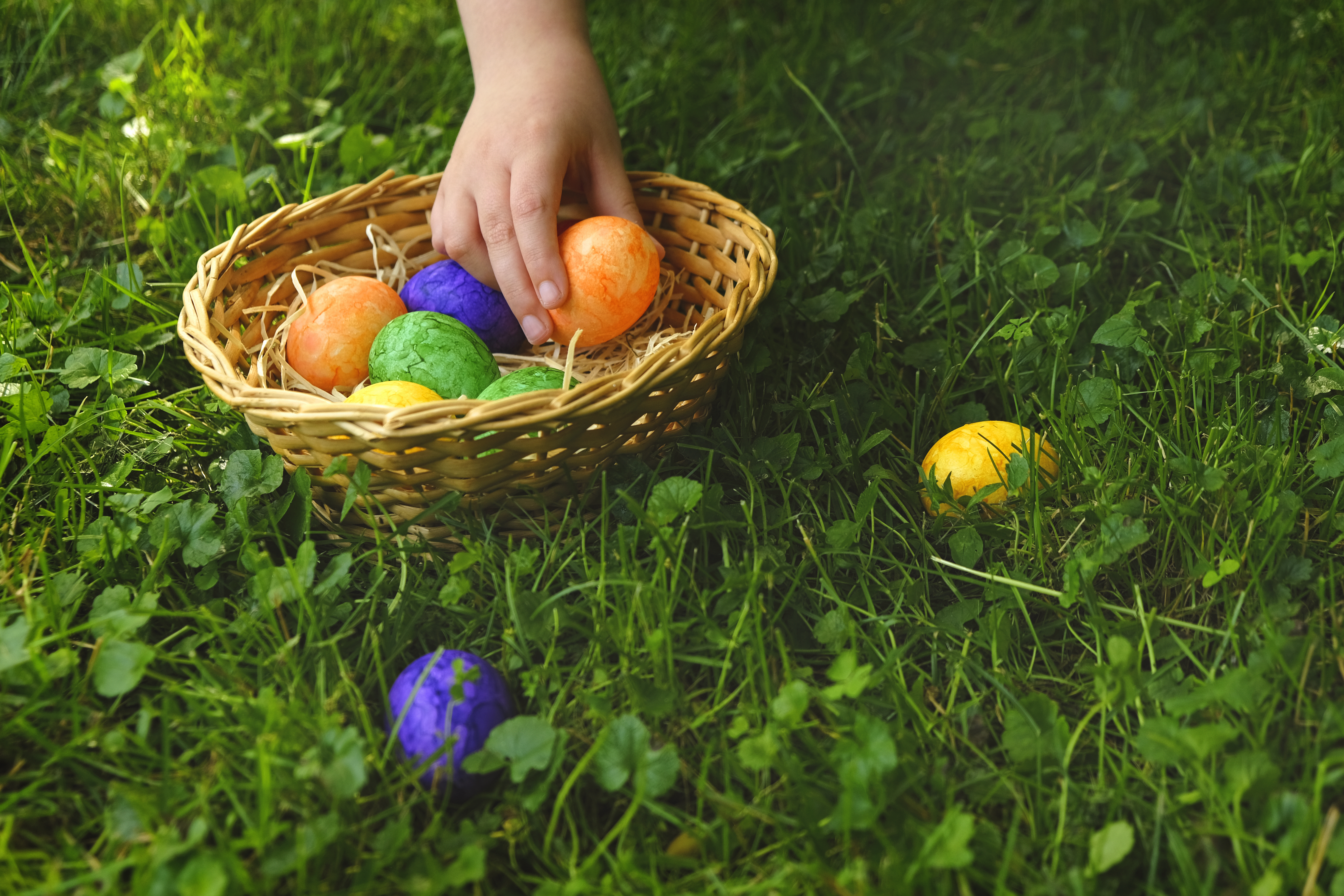 The best things to do this weekend in San Diego: April 6-9 - Vimarsana News