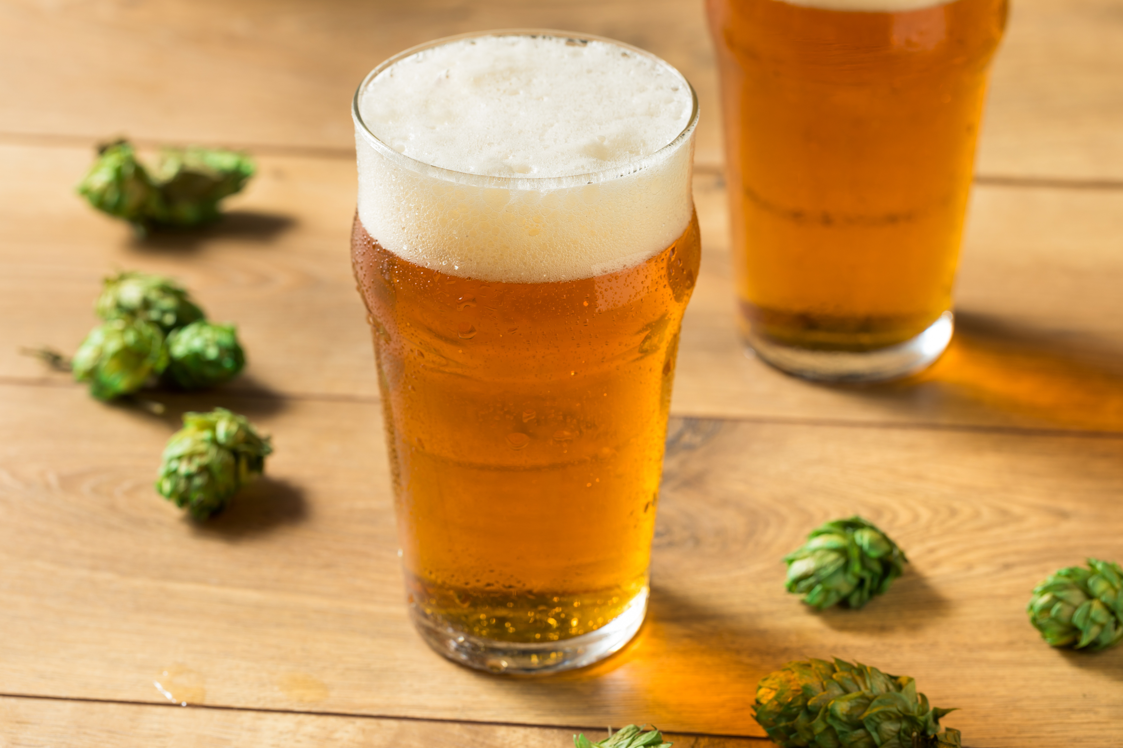 Brewery Rowe: Did a craft beer expo in San Diego back in 2004 really start the IPA movement? - Vimarsana News