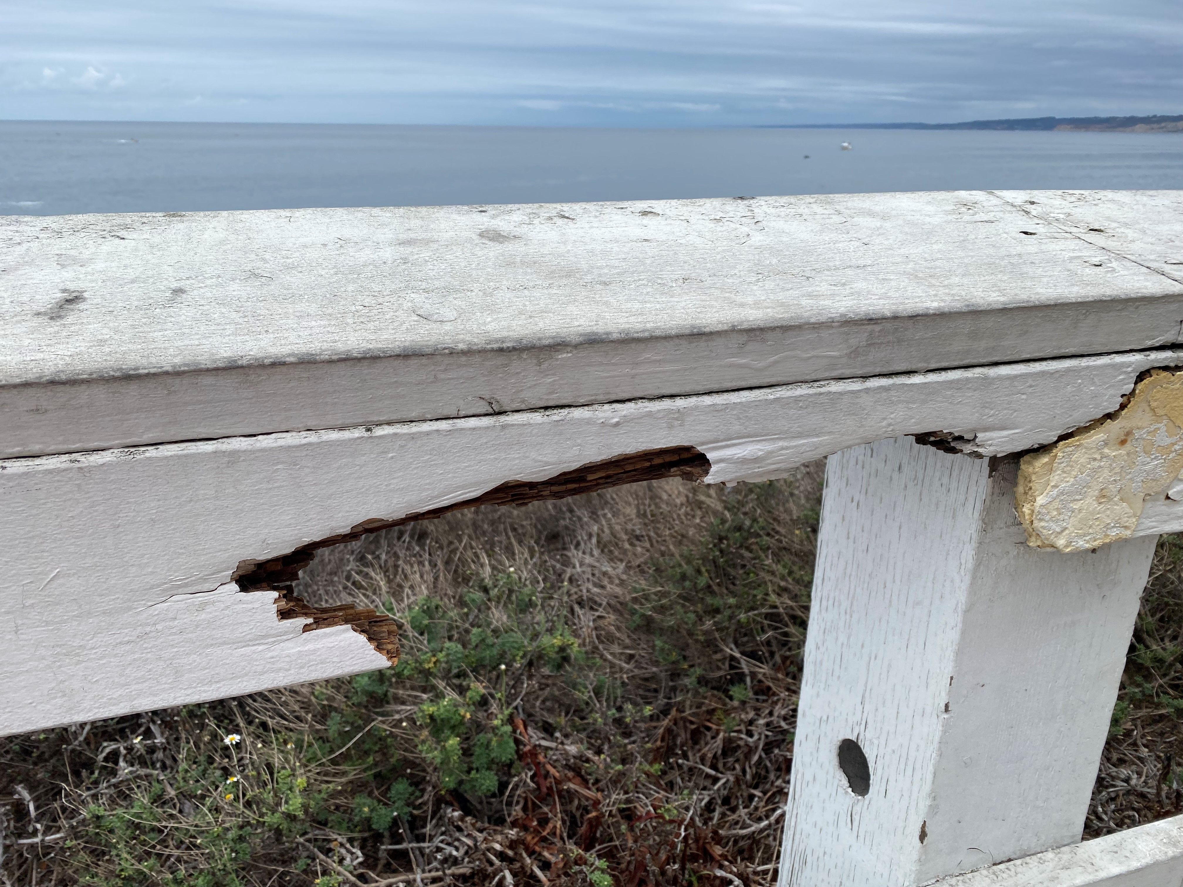 Condition of fences at La Jolla's Scripps Park raises safety concerns - Vimarsana News