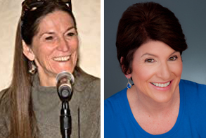 Column: Why writing a gritty San Diego thriller made authors L.J. Sellers and Teresa Burrell criminally happy - Vimarsana News