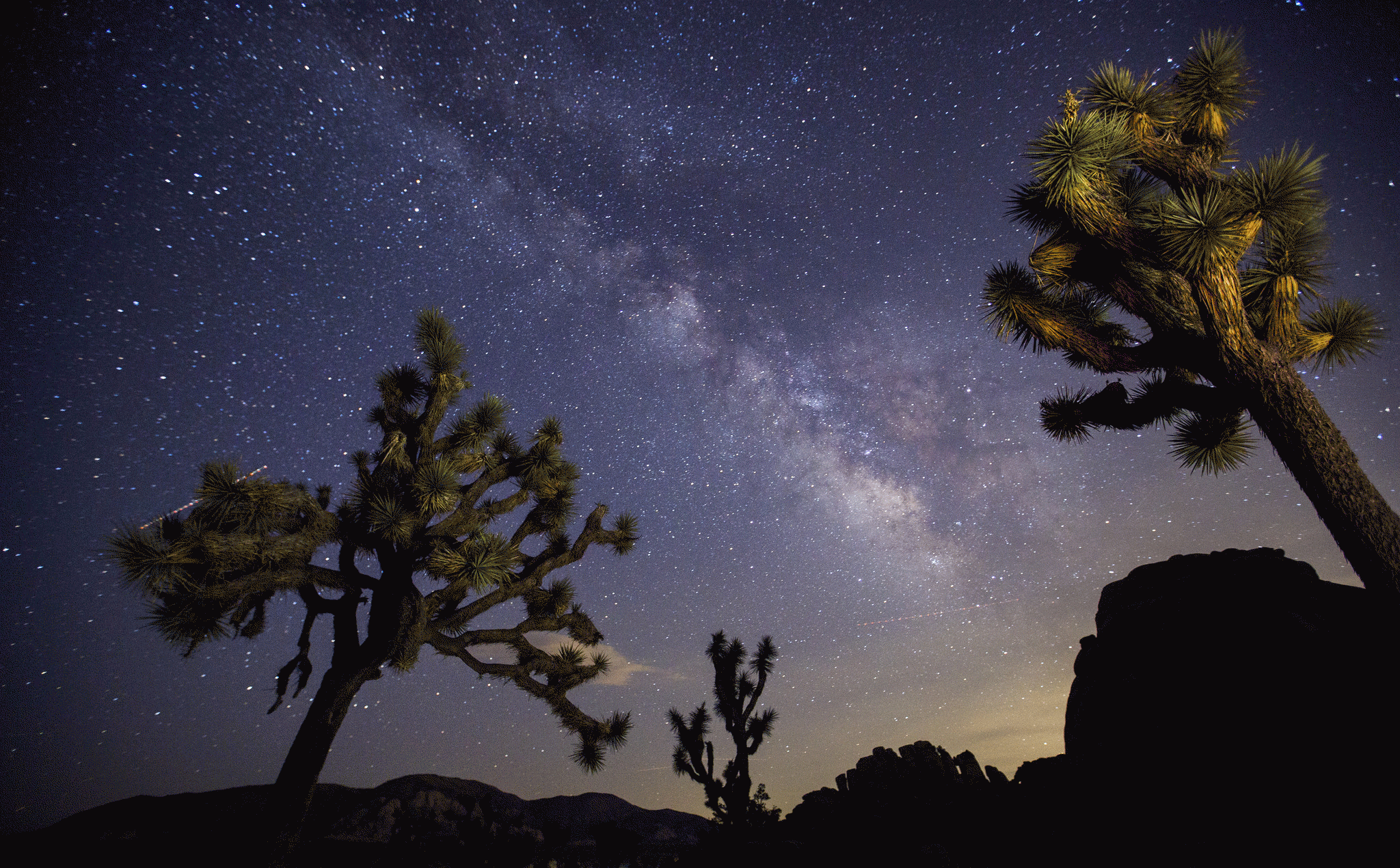 Joshua Tree, Ojai and more: Best stargazing in California - Vimarsana News