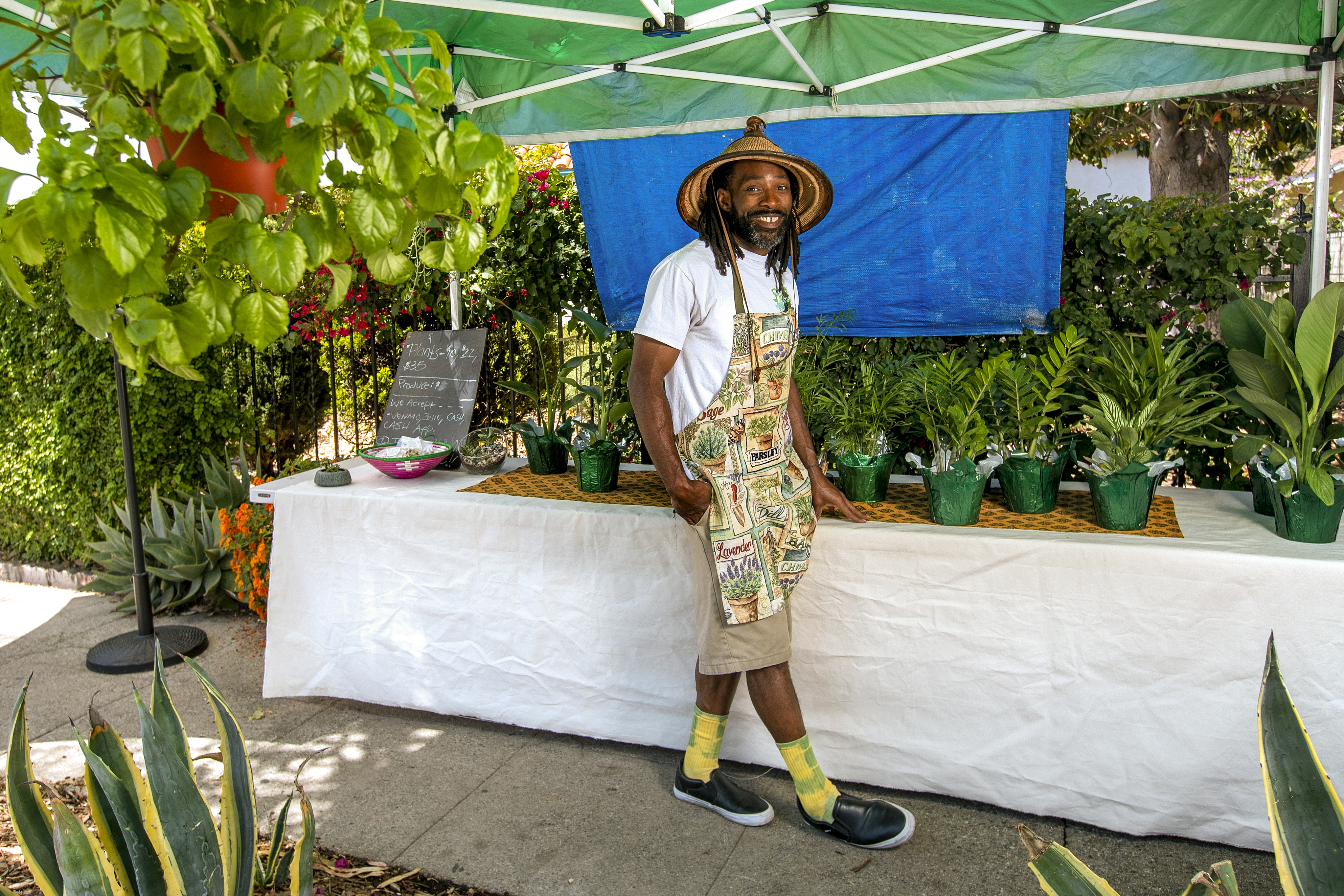 Need a houseplant delivery in L.A.? Call The Plant Mon - Vimarsana News