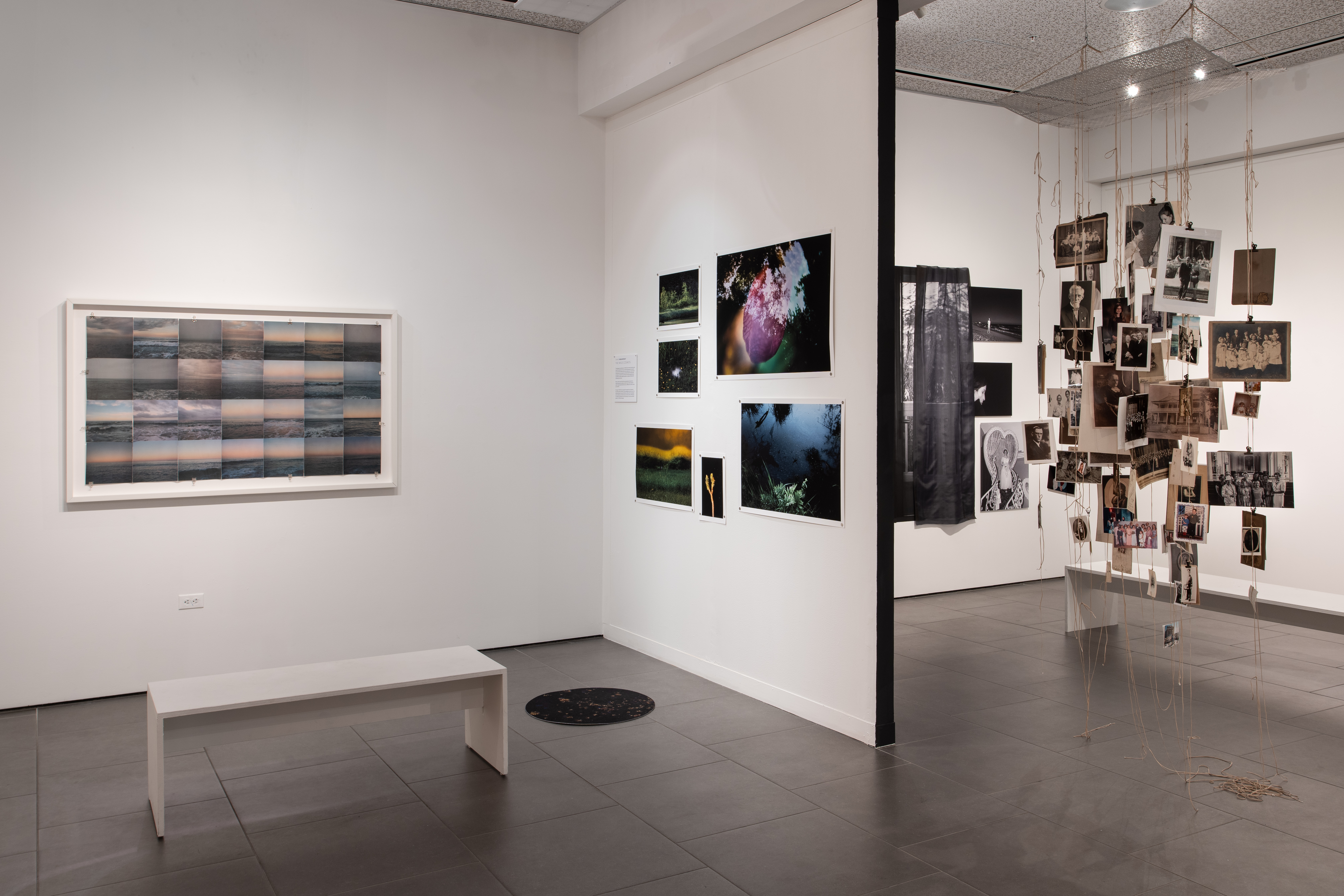 Art & Culture Newsletter: Oceanside Museum's 'Memory is a Verb' spotlights art made during the pandemic - Vimarsana News