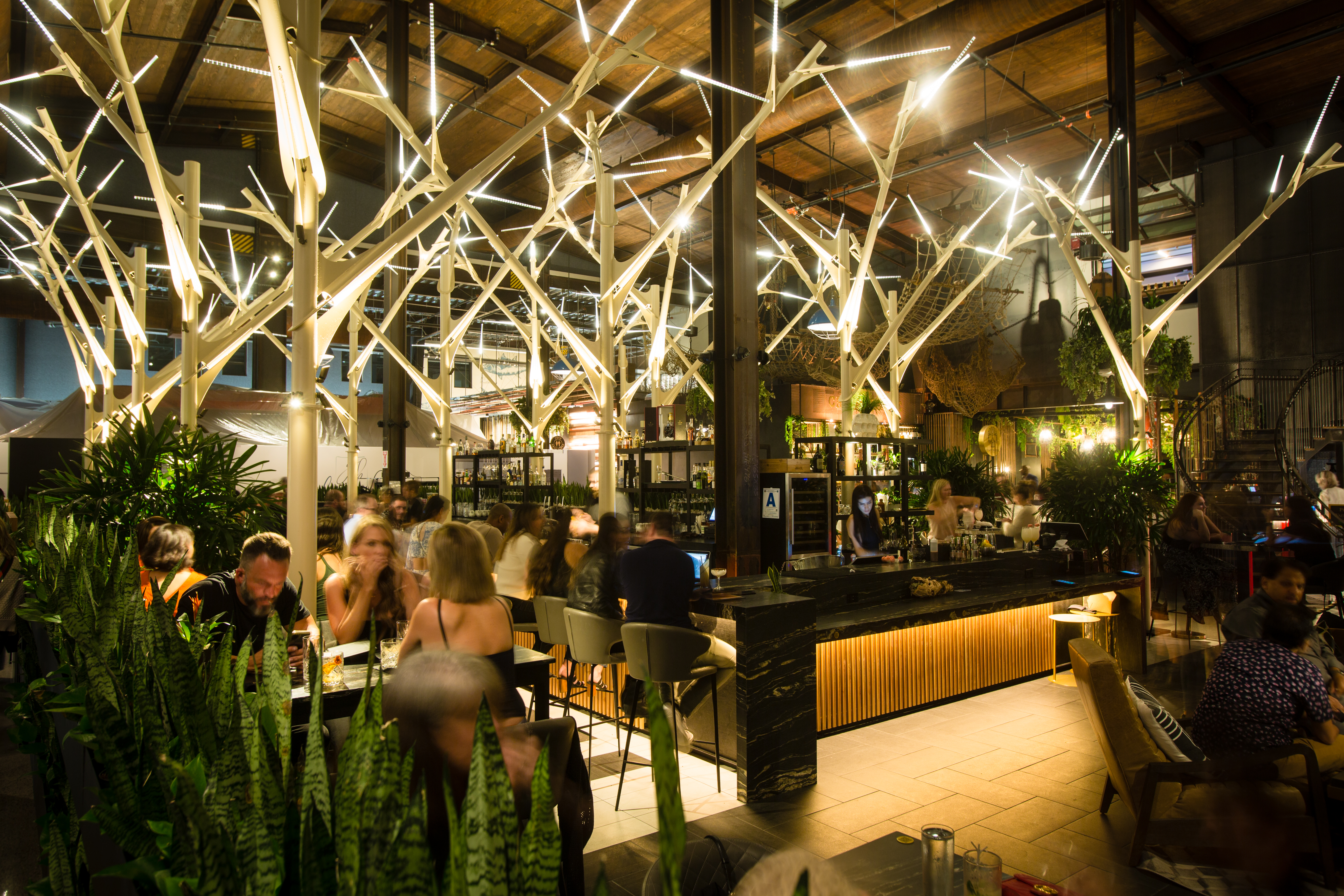 Understory brings late-night destination to Carmel Valley - Vimarsana News