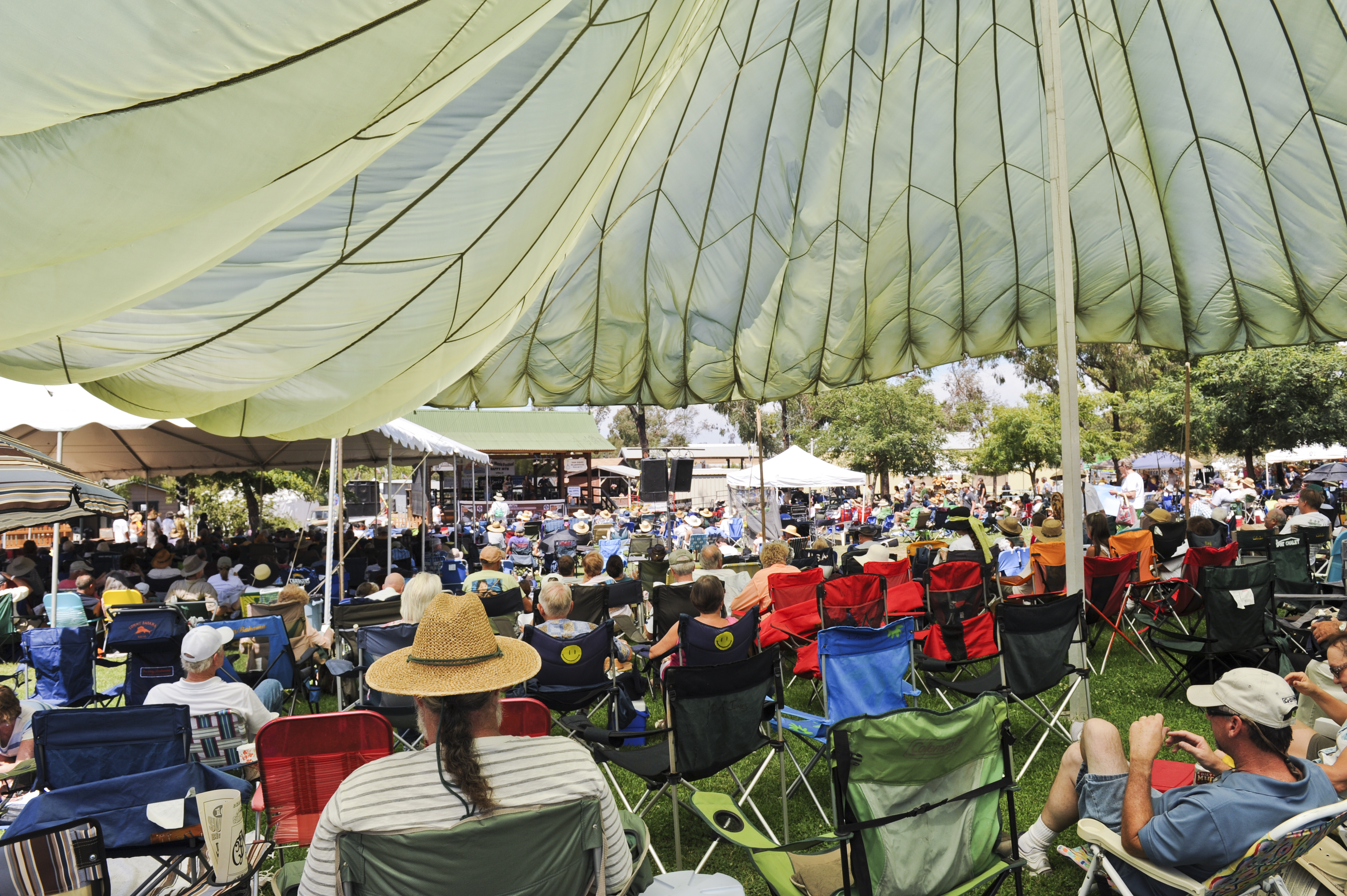 Summergrass festival to celebrate 20th anniversary with bluegrass music greats and future stars - Vimarsana News