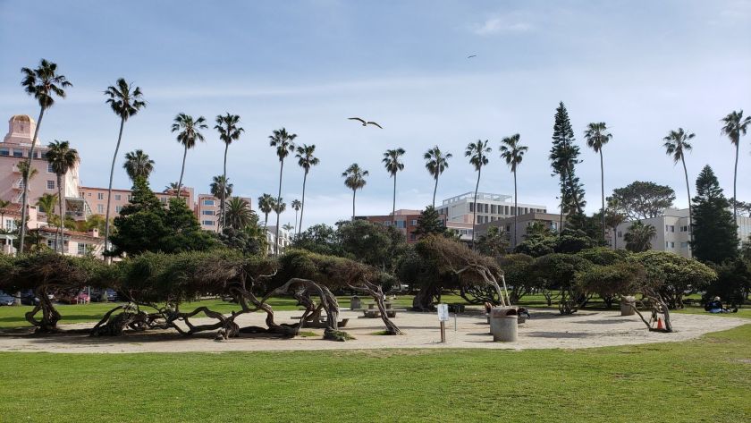 City Council approves San Diego Parks Master Plan on fourth draft - Vimarsana News