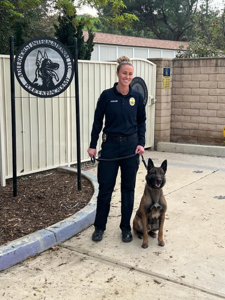Laguna Beach police adding K-9 Bear to ranks - Vimarsana News