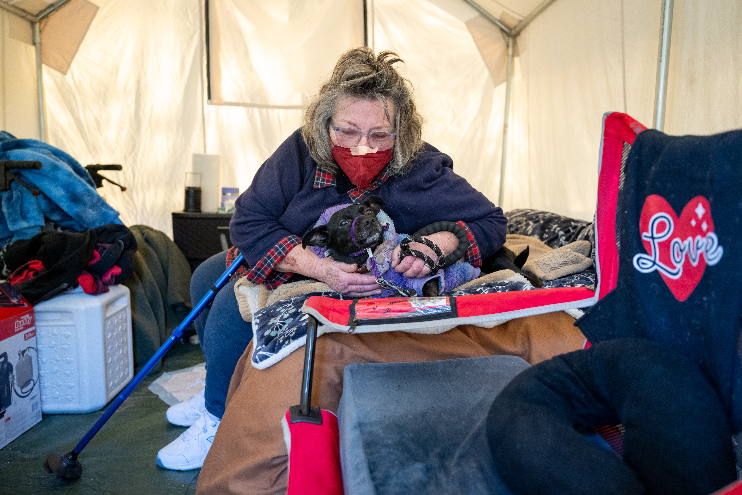 A tent encampment rises outside Ojai's City Hall, filled with older locals priced out of housing - Vimarsana News