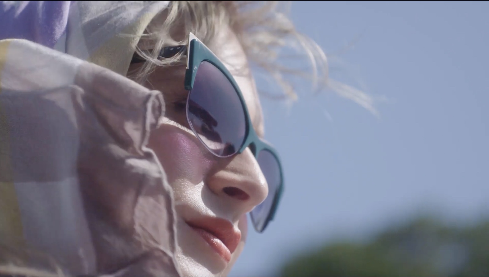 'Framing Agnes' review: Docudrama brings trans past to life - Vimarsana News