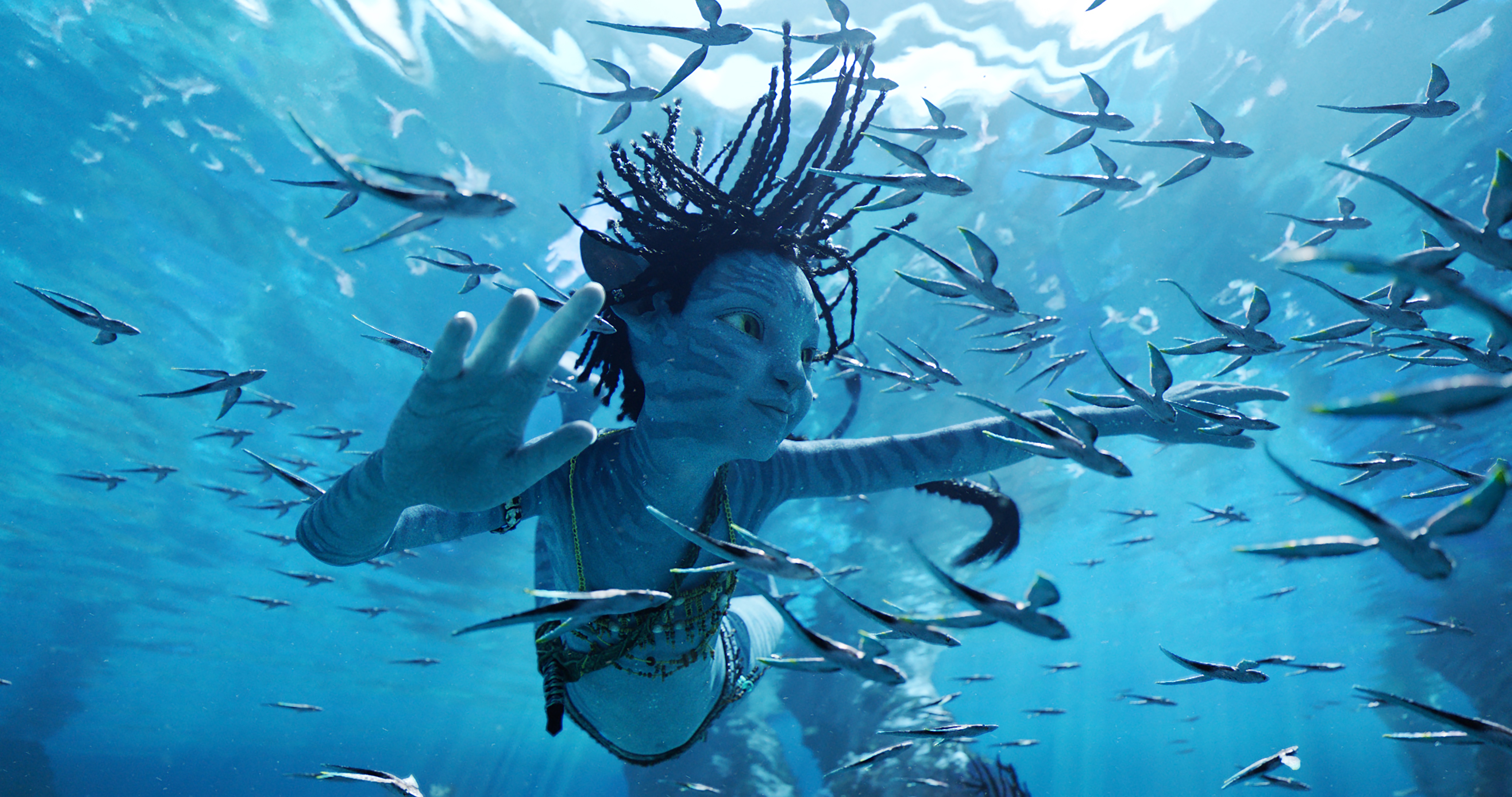 Did the box office opening for 'Avatar: The Way of Water' live up to expectations? - Vimarsana News