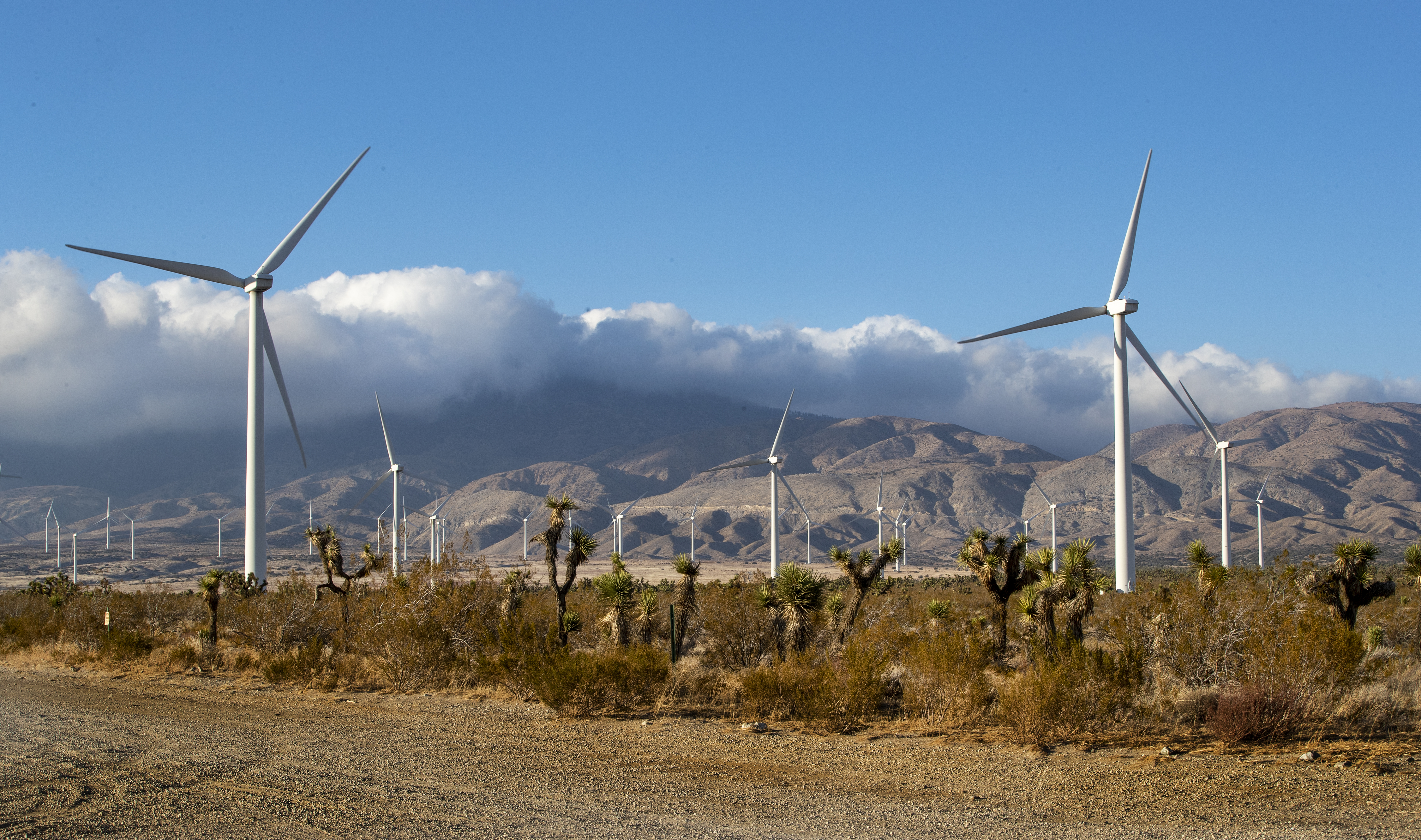 California lawmakers want to build more clean energy, faster - Vimarsana News