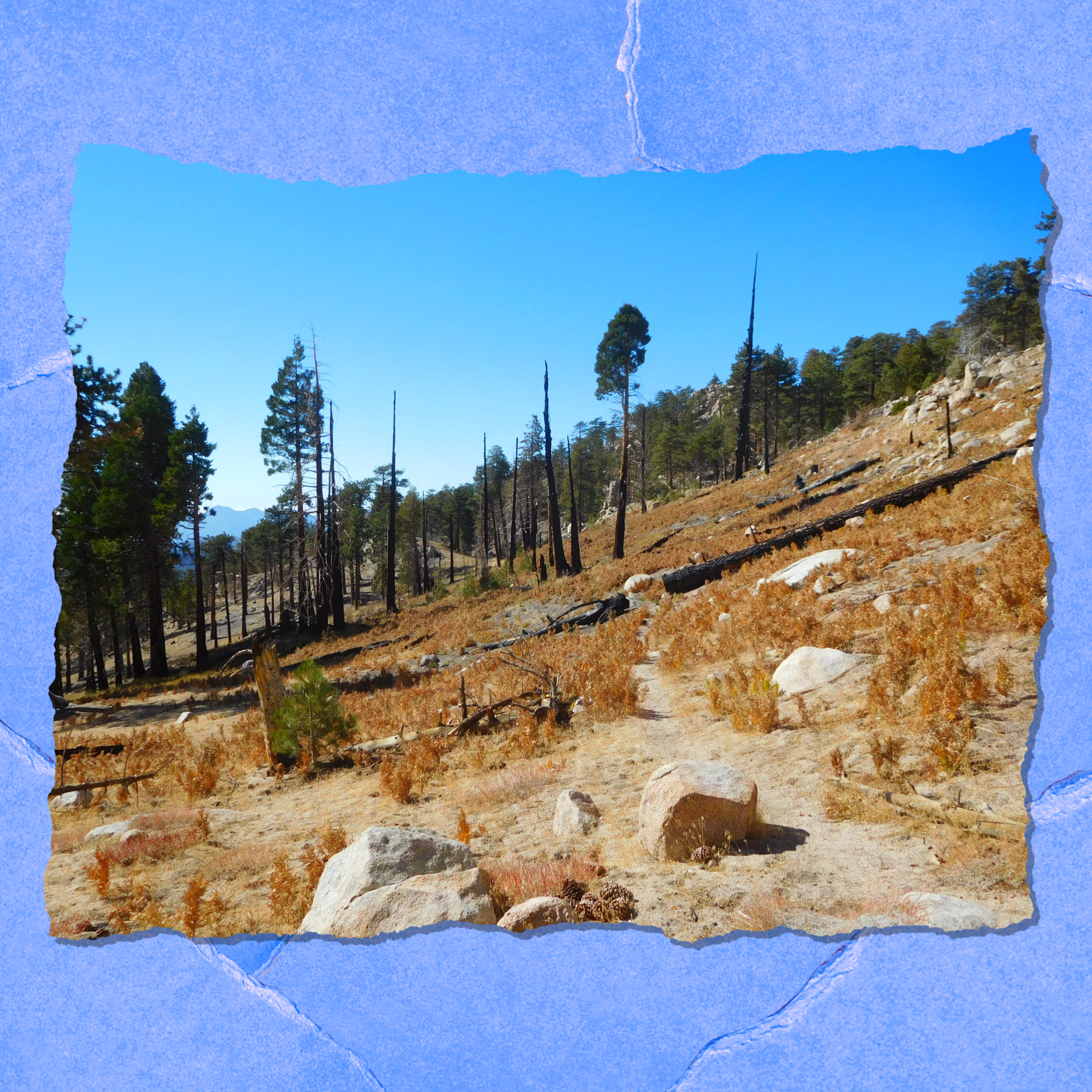 Bobcat fire burn area will mostly reopen Friday. Here's what hikers need to know - Vimarsana News