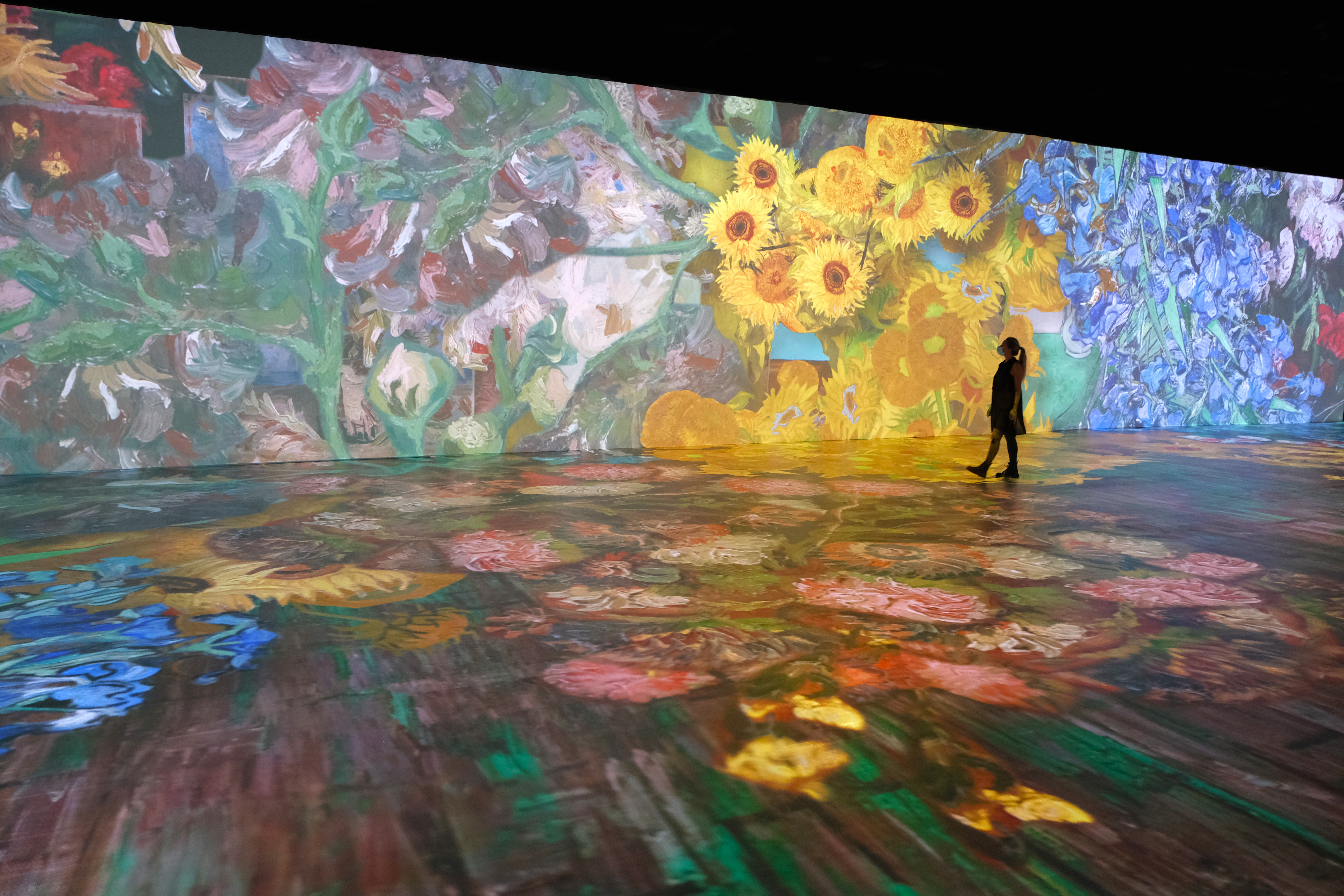 Arts & Culture Newsletter: 'Beyond Van Gogh' brings its immersive art tour to San Diego - Vimarsana News