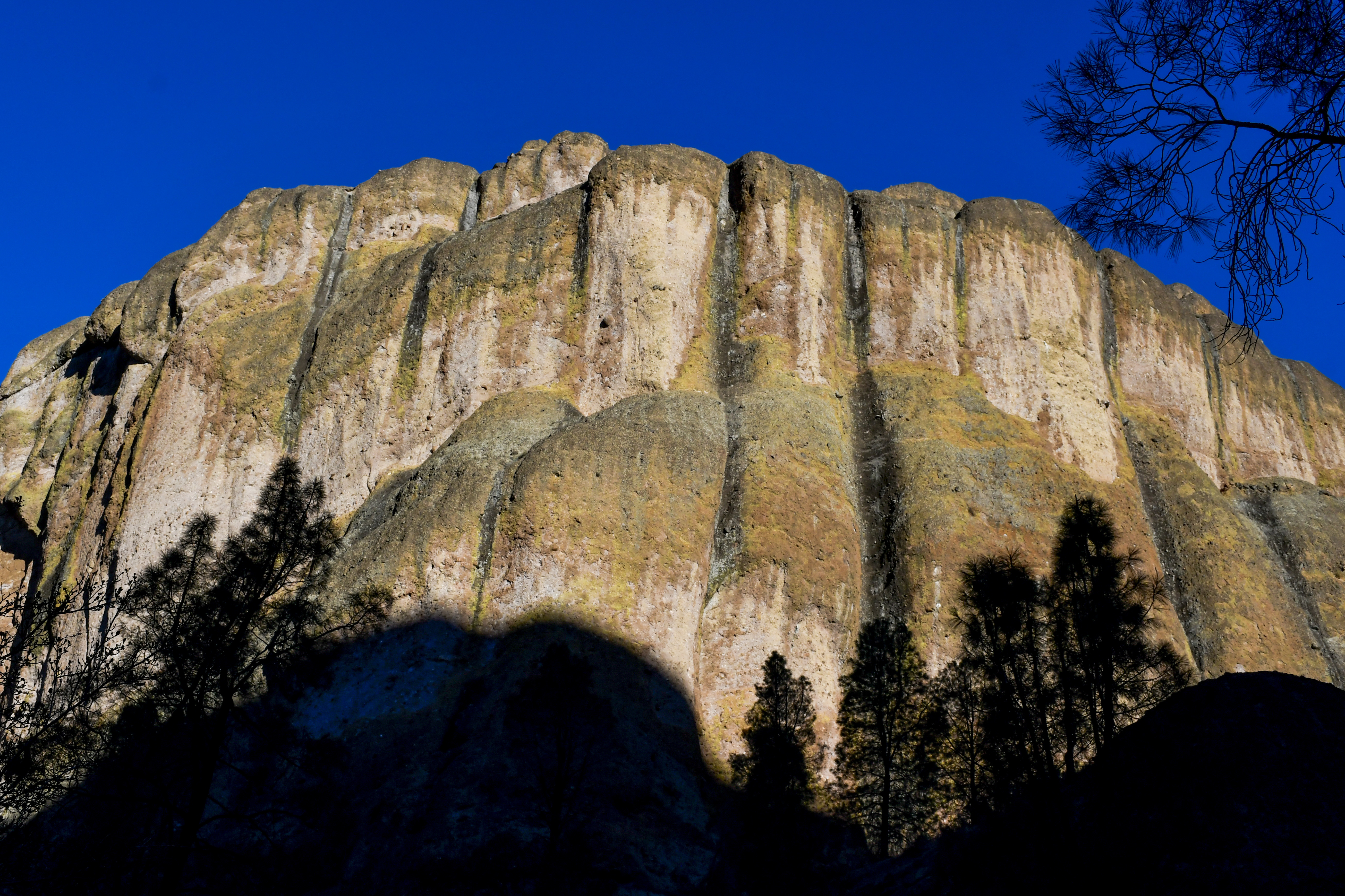 A Pinnacles National Park trip: Bakersfield, Salinas and more - Vimarsana News