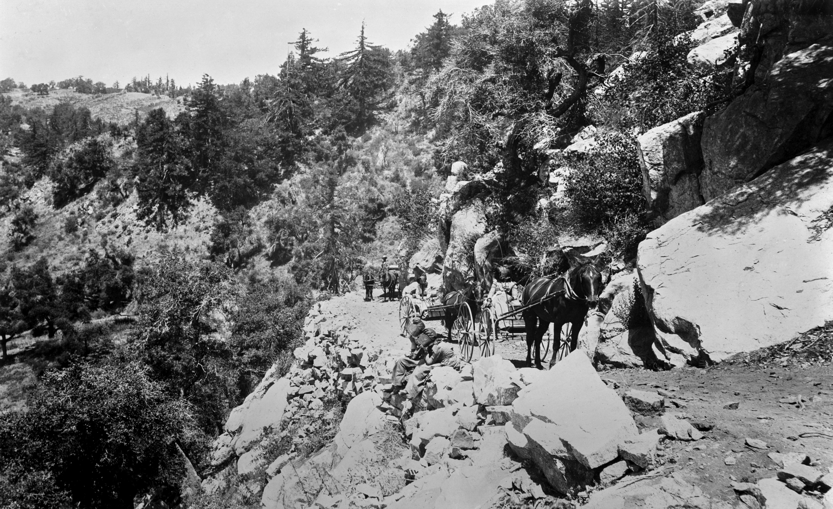 From the Archives: A rough road - Vimarsana News