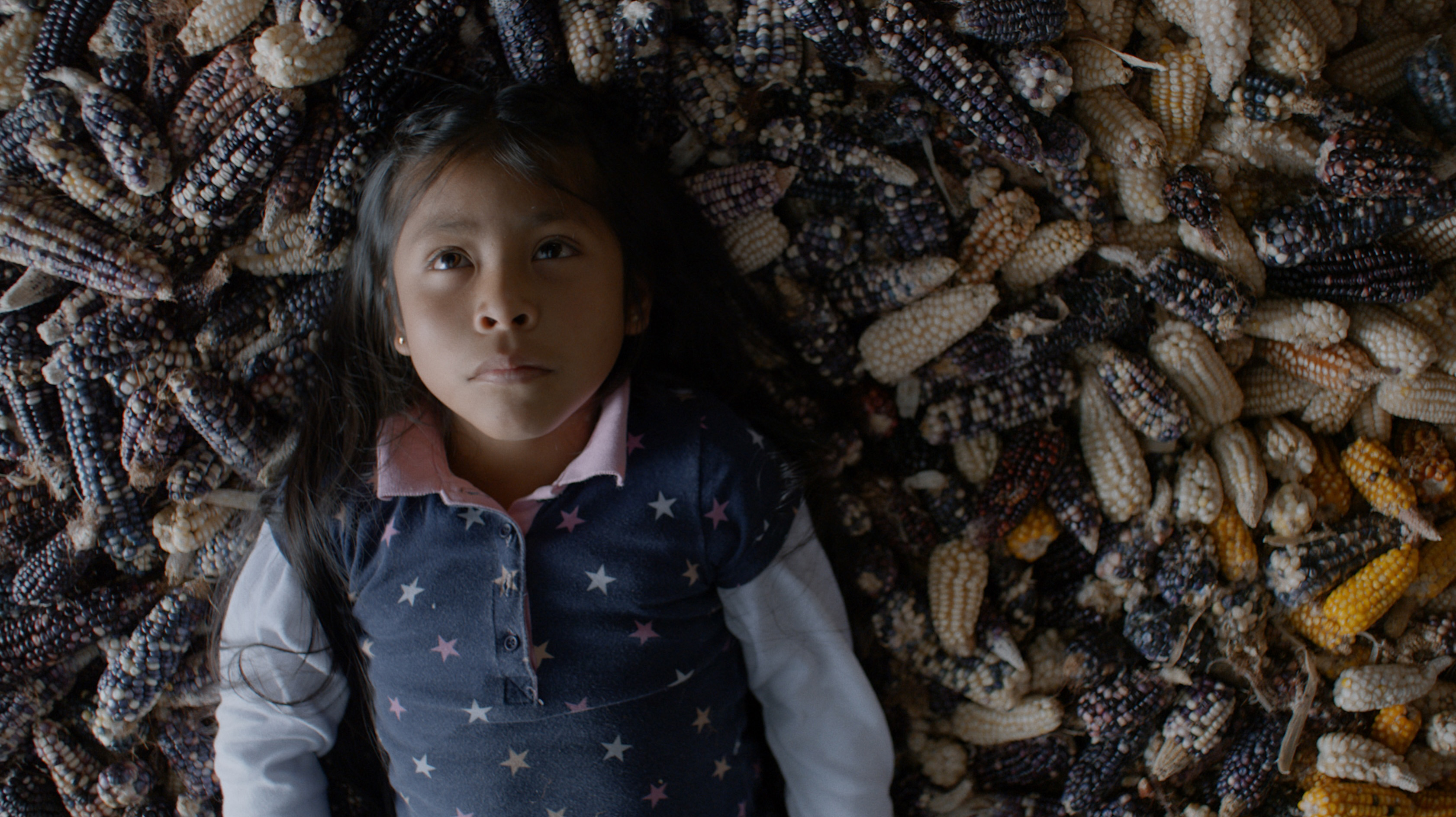 LALIFF 2024: 8 movies to watch at this year's festival - Vimarsana News