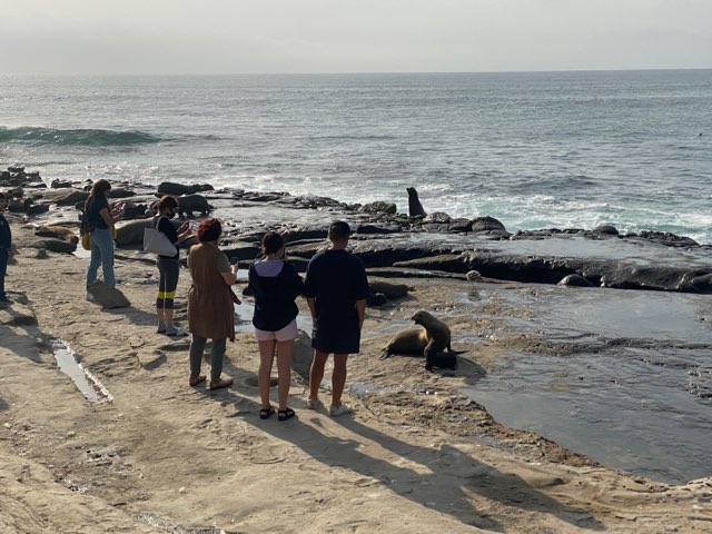Arguments for and against Point La Jolla closure plan continue as April Coastal Commission review nears - Vimarsana News