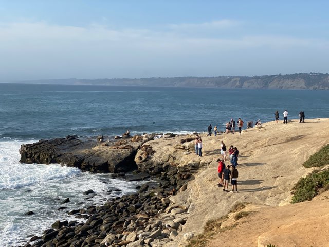 City pursuing temporary emergency closure of Point La Jolla to 'protect the public and the sea lion rookery' - Vimarsana News