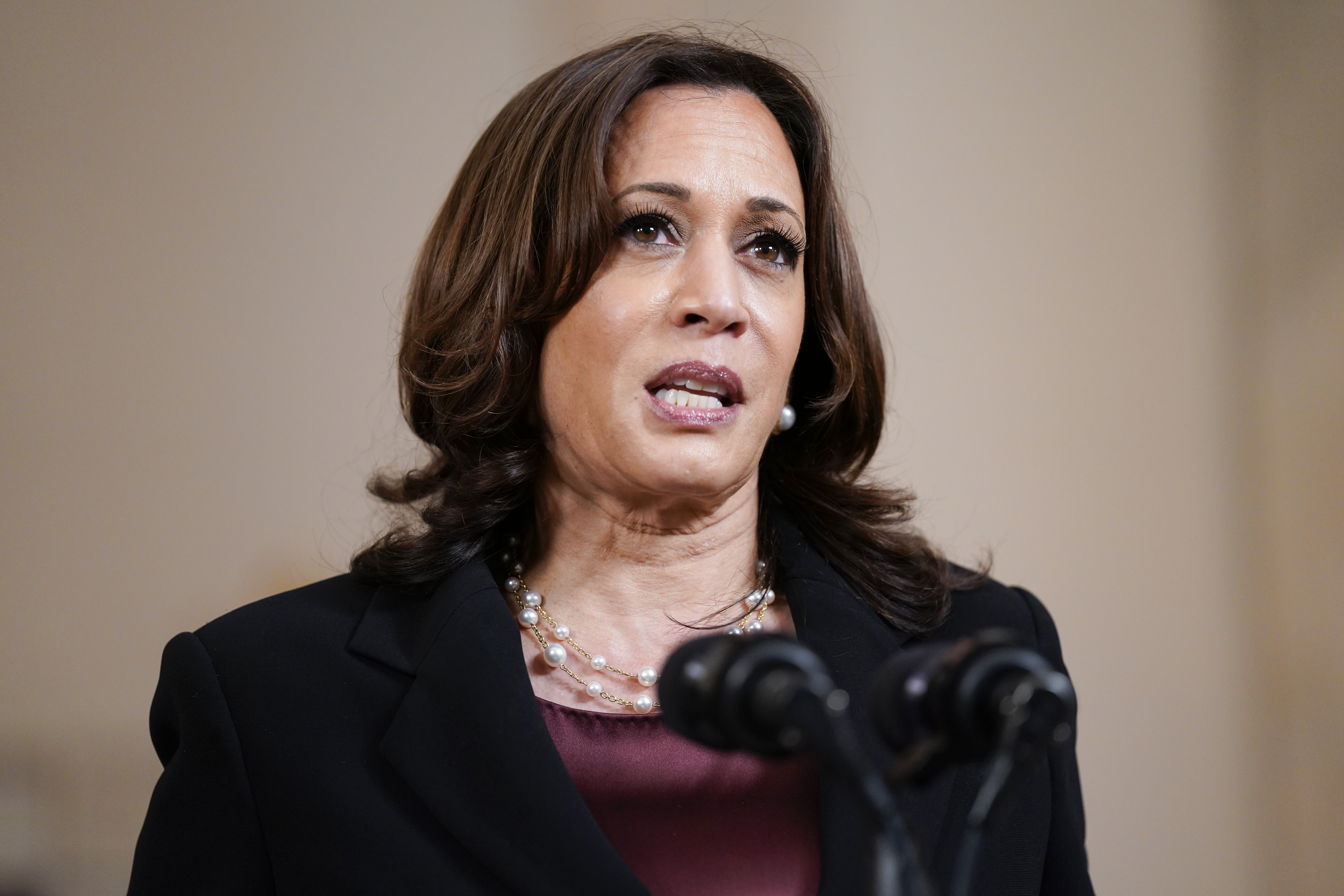 Op-Ed: Kamala Harris' border mission should be a Mexico mission too - Vimarsana News