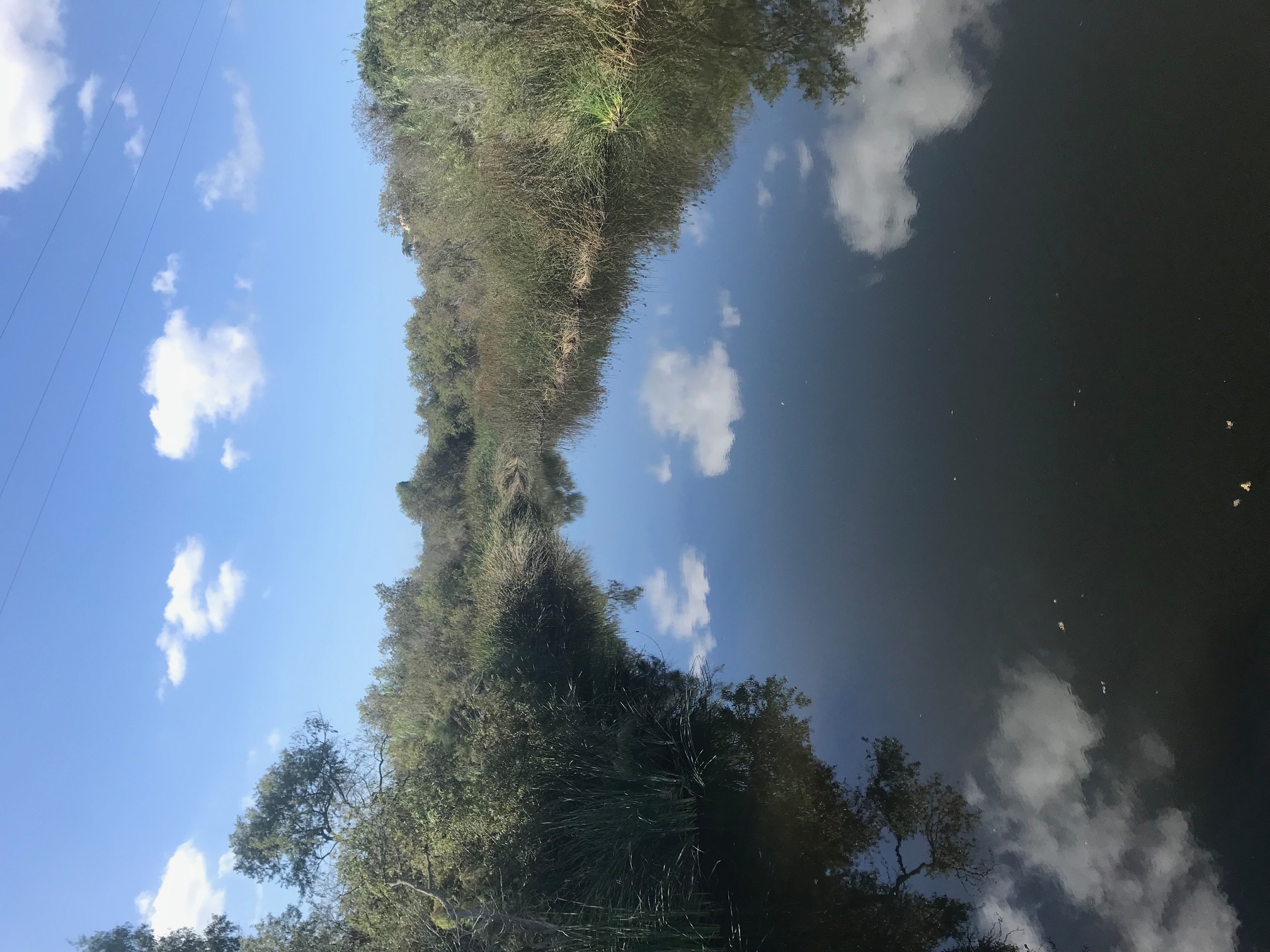 New segment of Coast to Crest Trail to bridge missing link - Vimarsana News