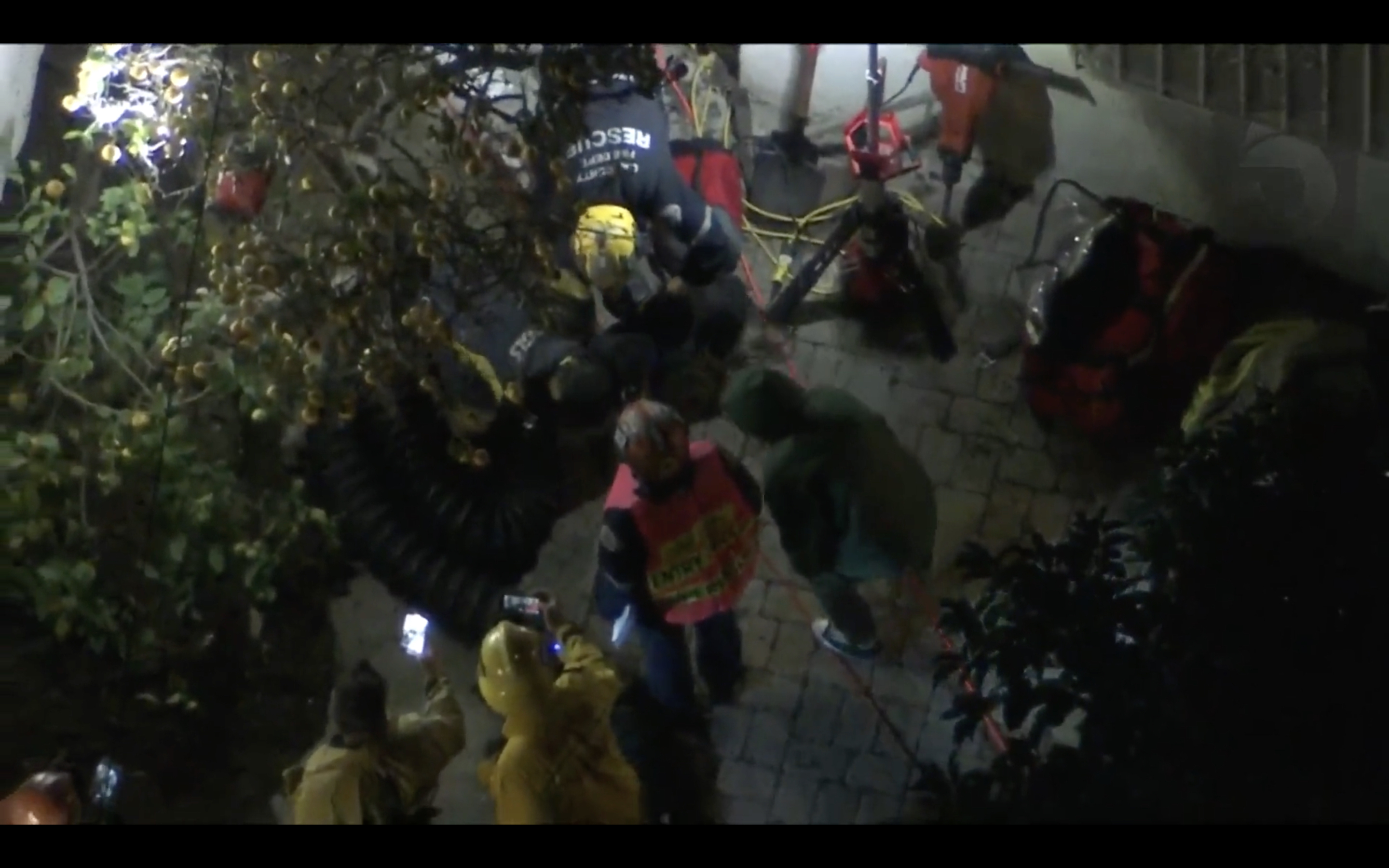 Firefighters rescue dog from 50-foot sinkhole in Compton backyard - Vimarsana News