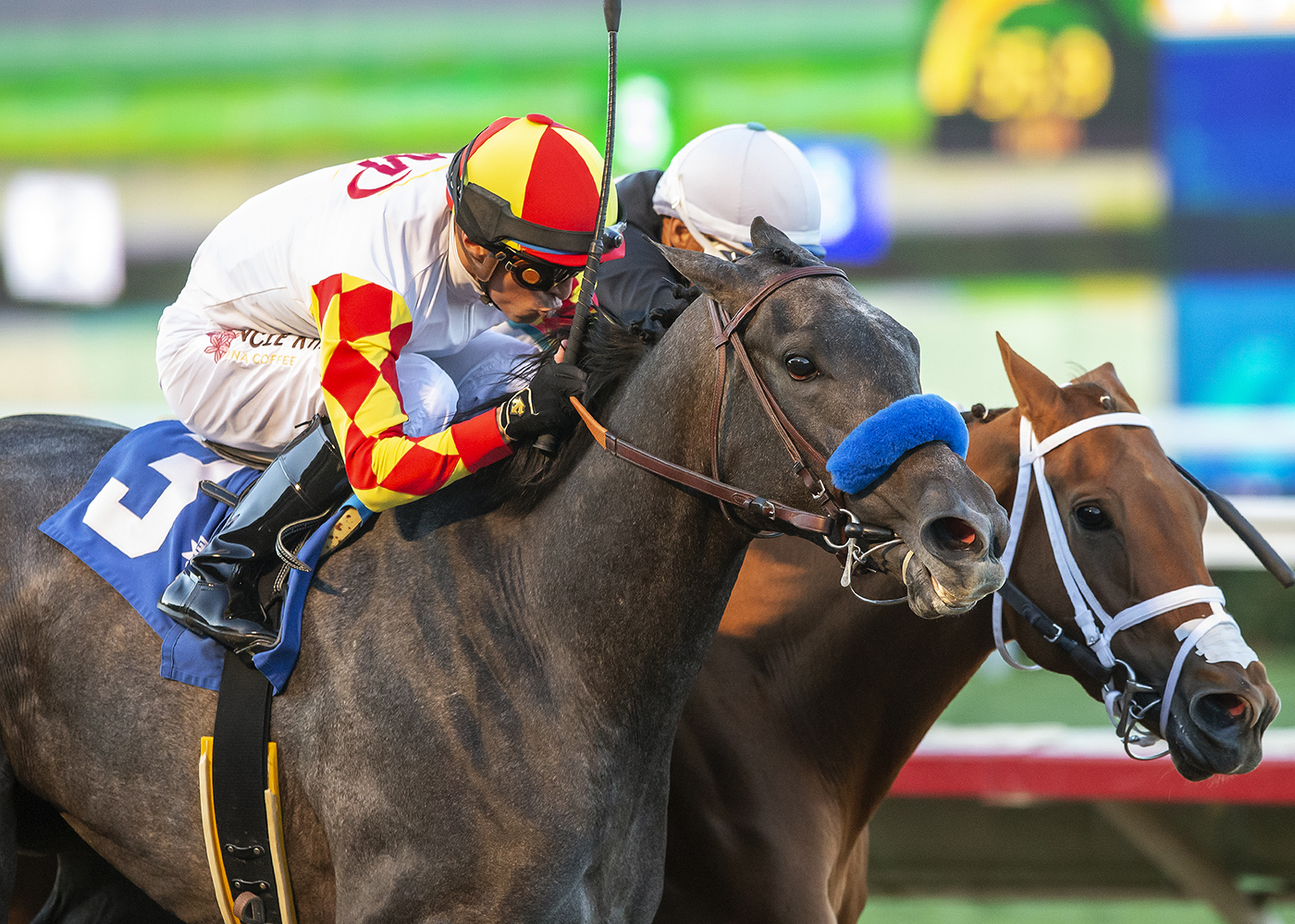 2nd horse dies in first three days of Del Mar fall meet - Vimarsana News