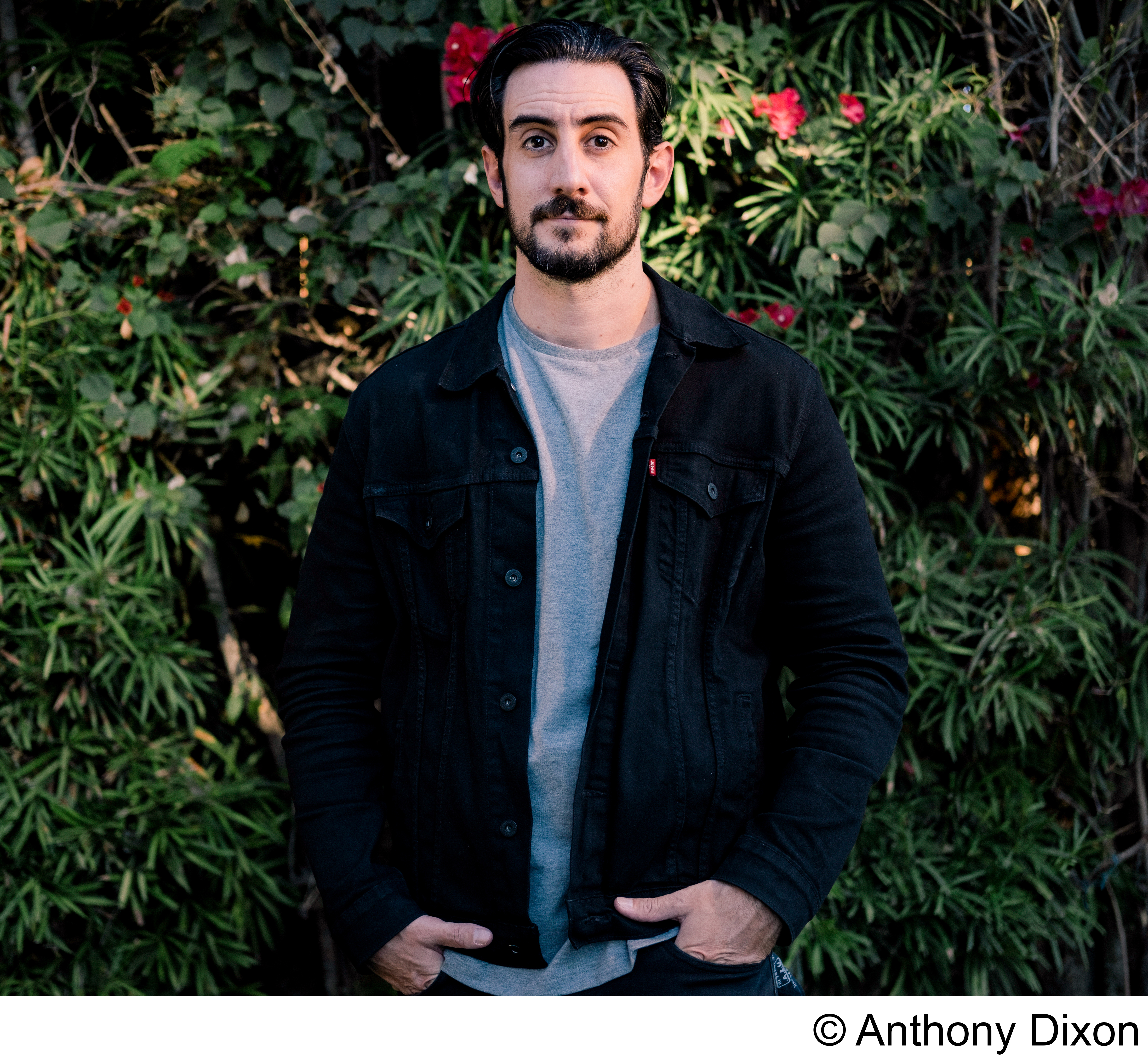 Review: Dan Ozzi's book 'Sellout,' punk bands, major labels - Vimarsana News