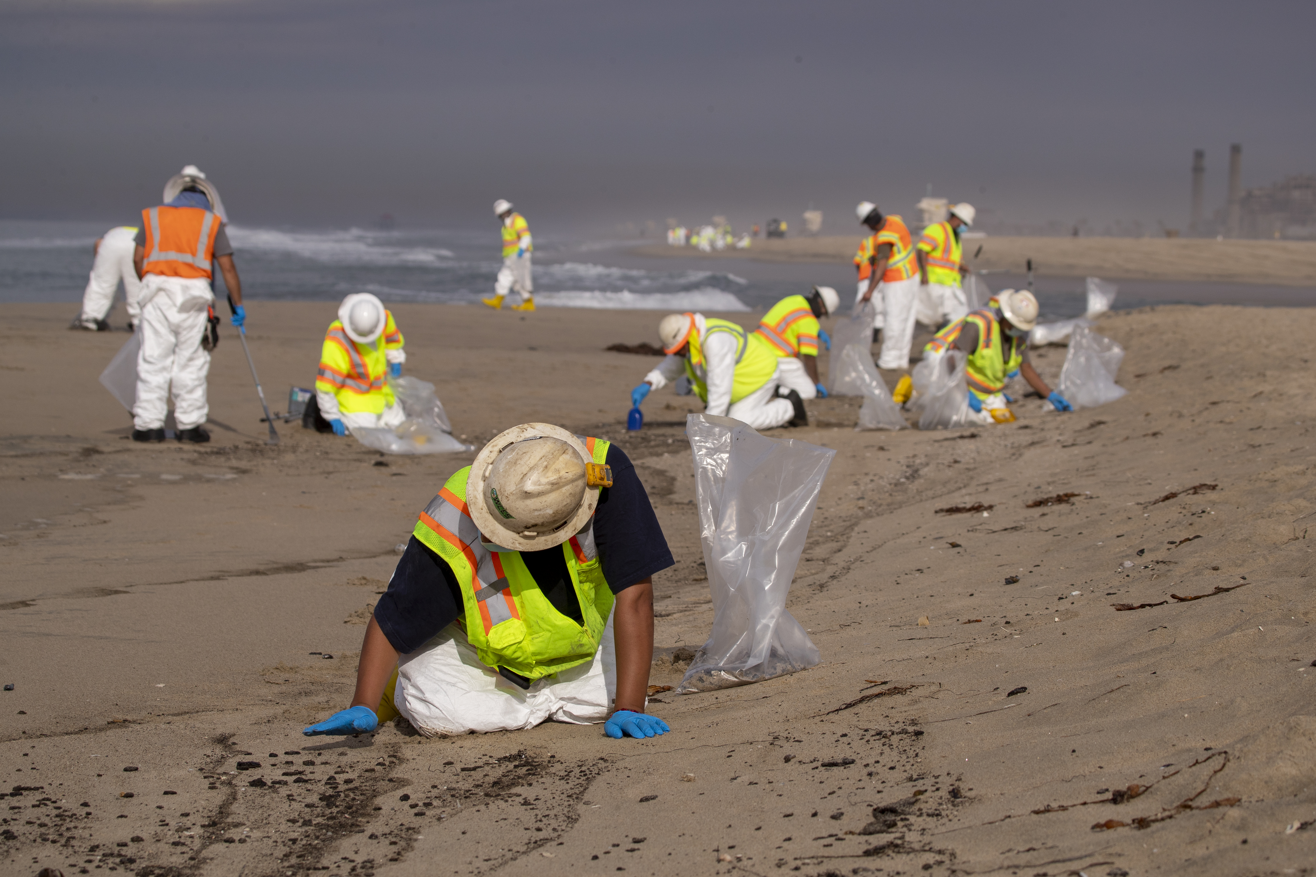 California oil spill sparks race to save wildlife - Vimarsana News