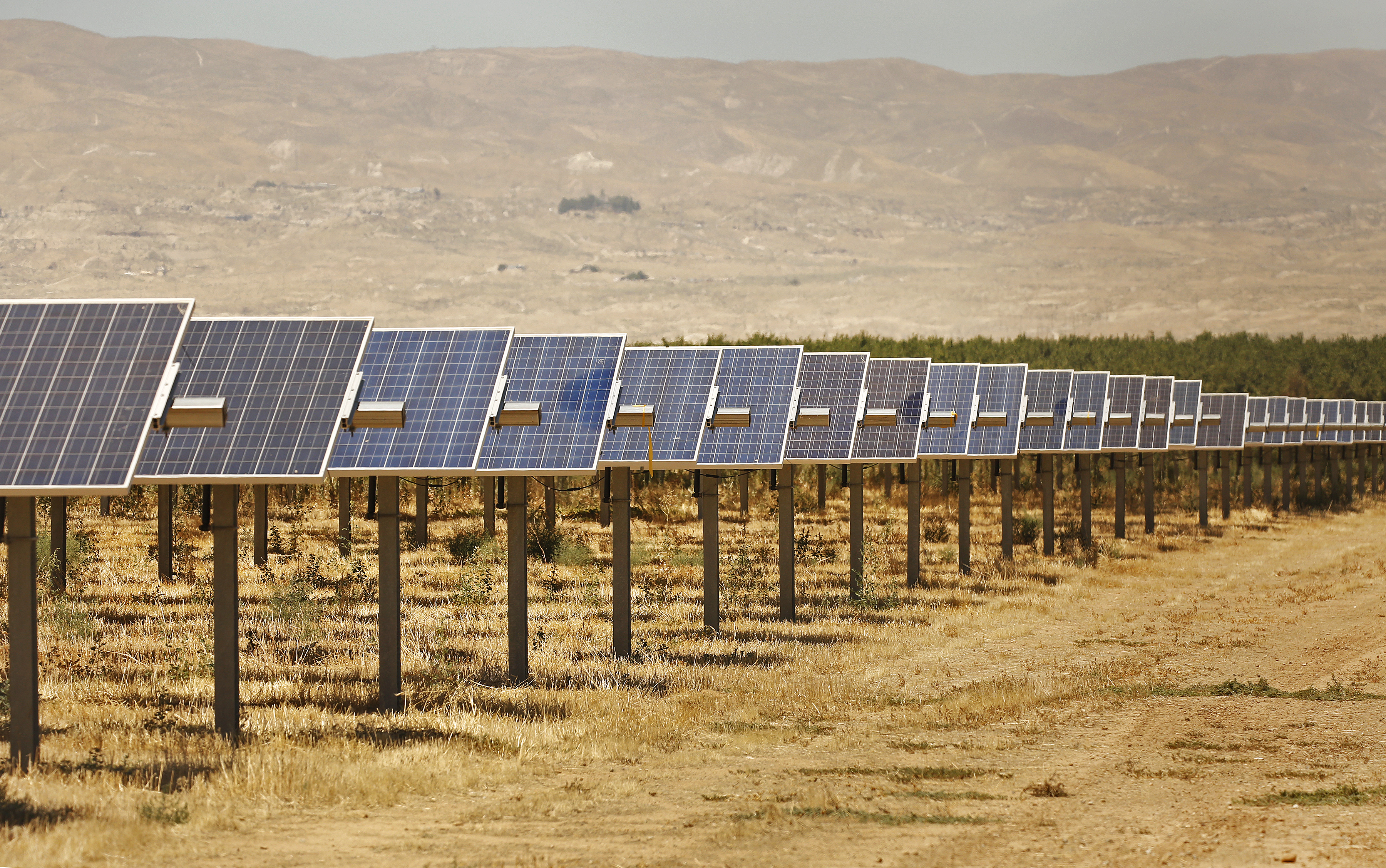 Solar and wind can hurt the environment. Here are some fixes - Vimarsana News