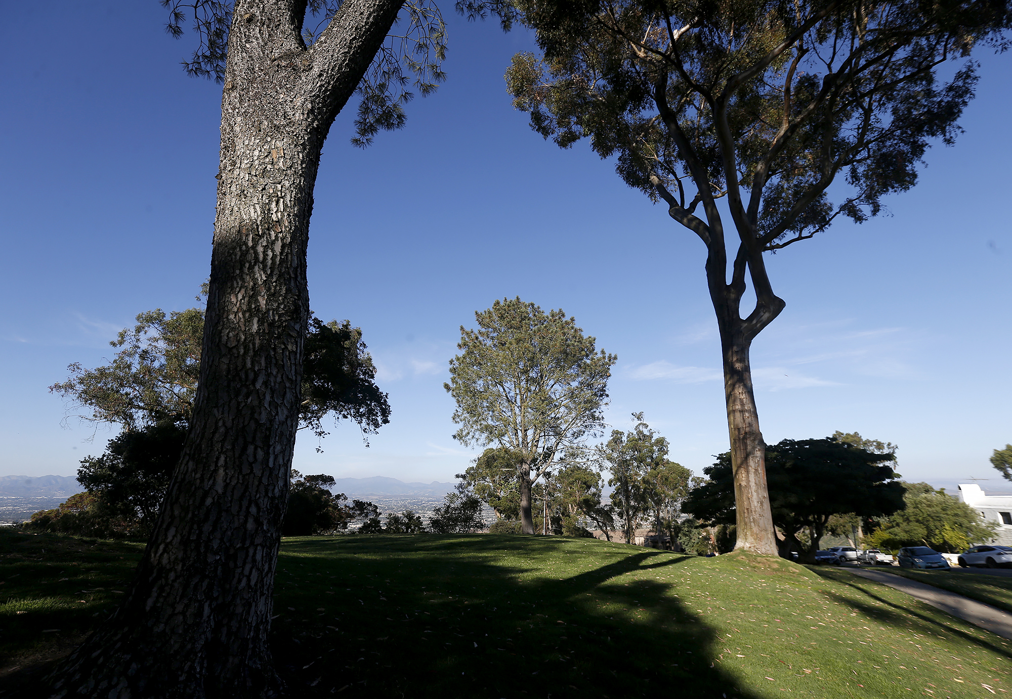 Laguna Beach to rename Top of the World Park in honor of William Wilcoxen - Vimarsana News