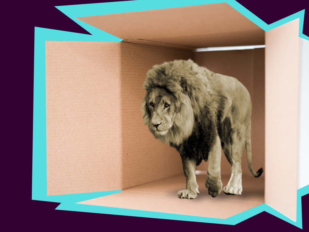 Good luck, Amazon. Unpacking MGM's vault may be harder than it sounds - Vimarsana News