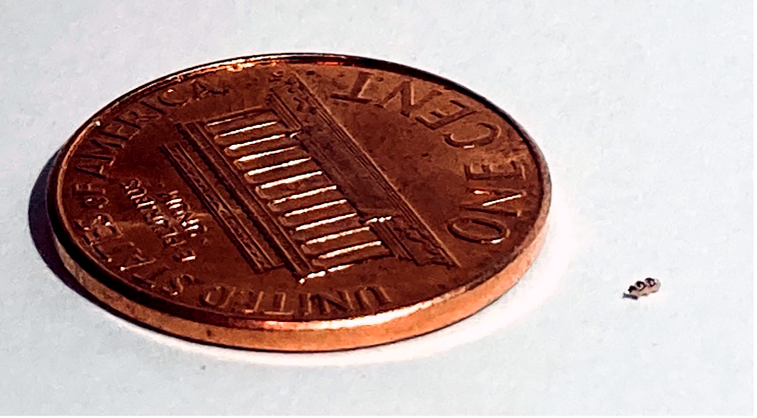 This L.A. start-up is building tiny injectable robots to attack tumors - Vimarsana News