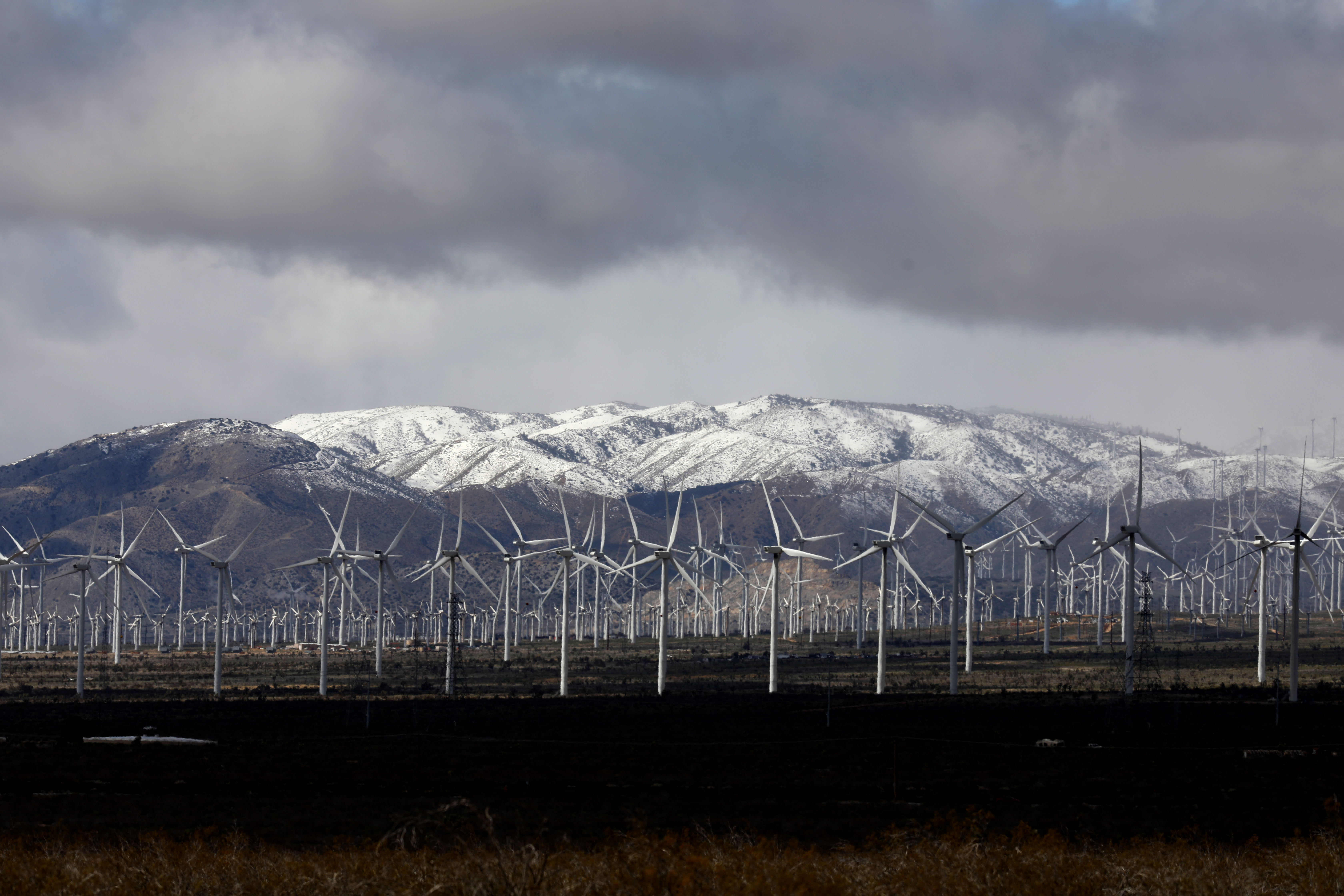 High wind warning issued for Southern California, outages possible - Vimarsana News