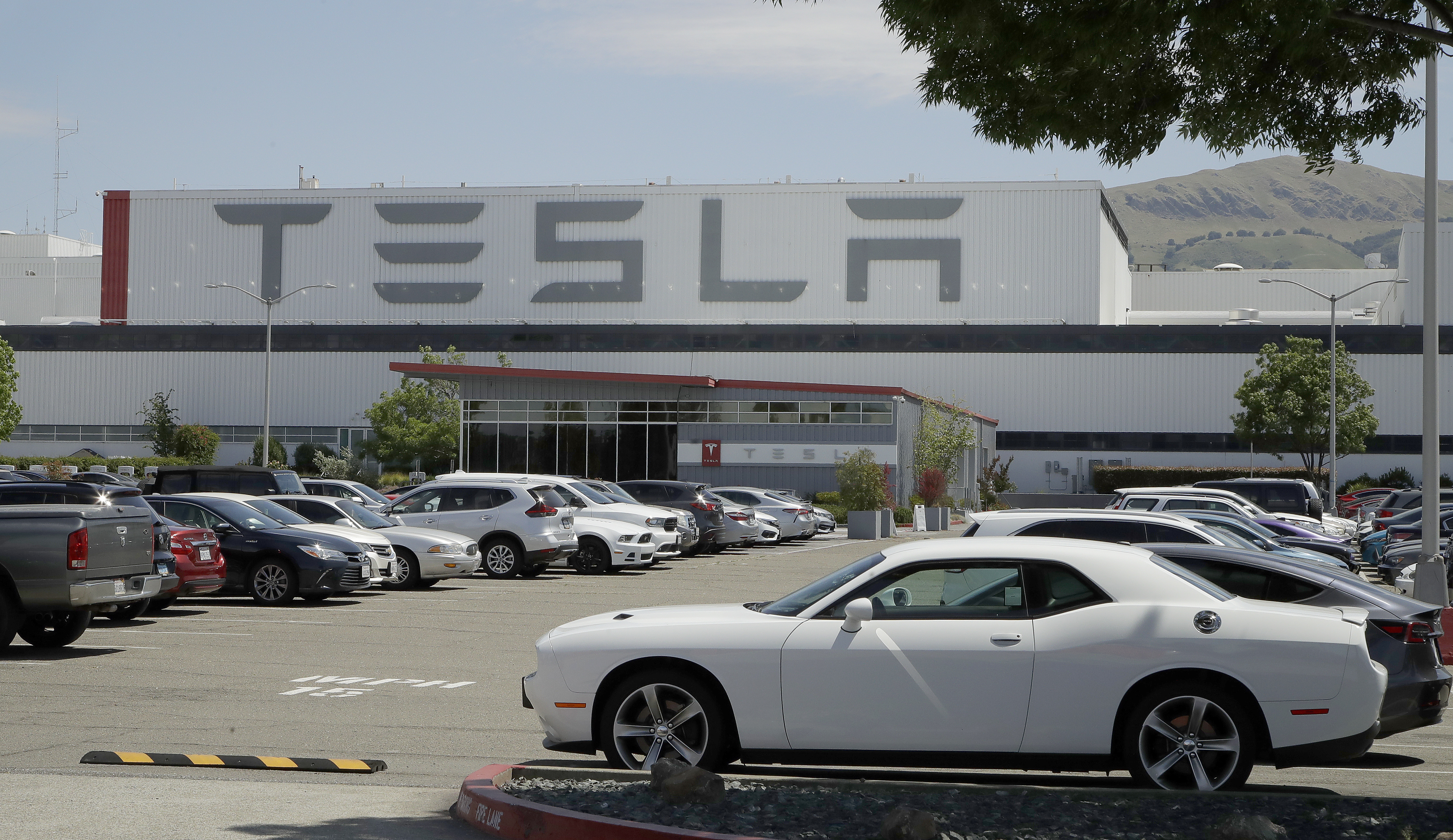 Tesla employee arrested in fatal shooting outside Fremont plant - Vimarsana News