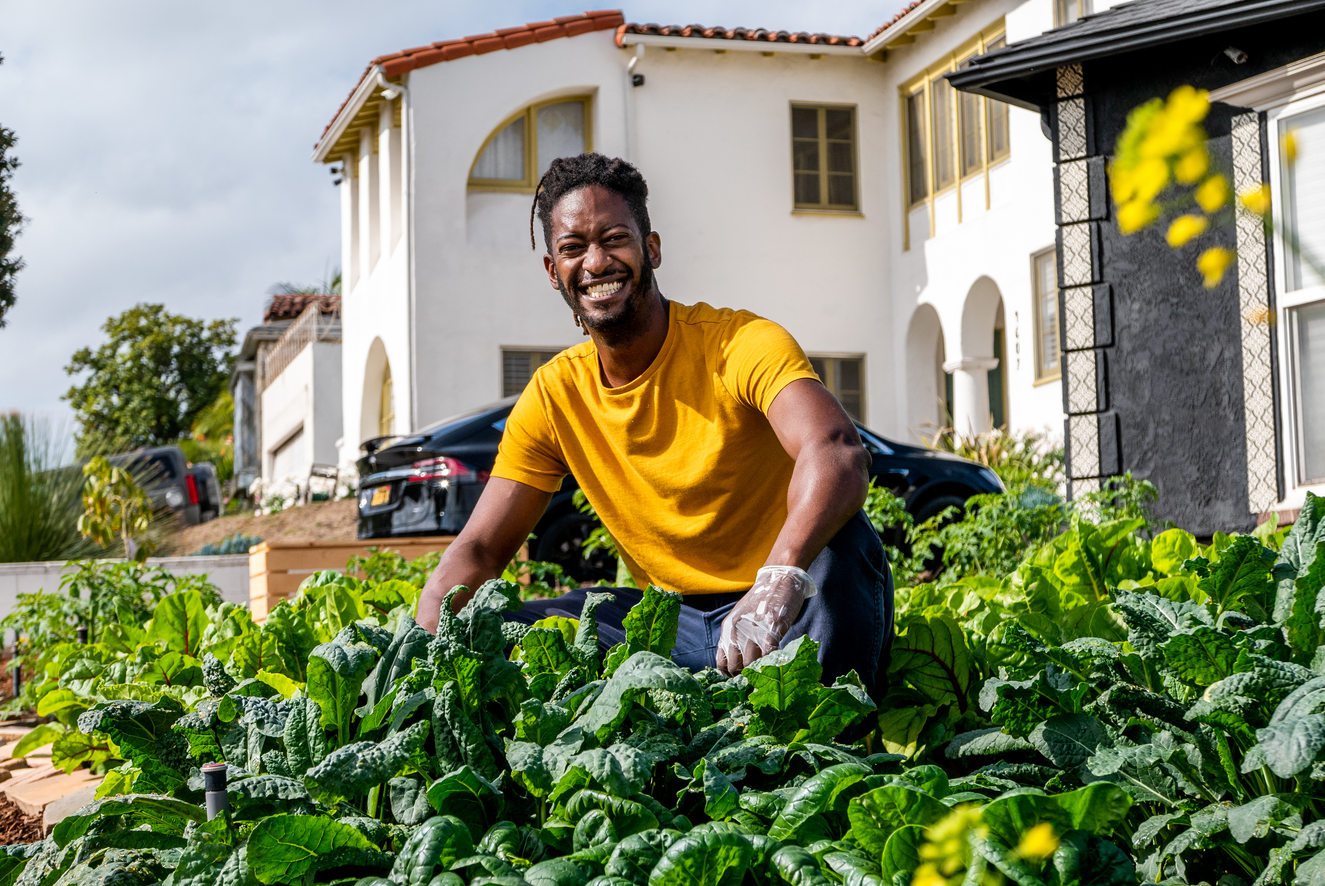 'Micro farms' come to South L.A. with fresh food, produce - Vimarsana News