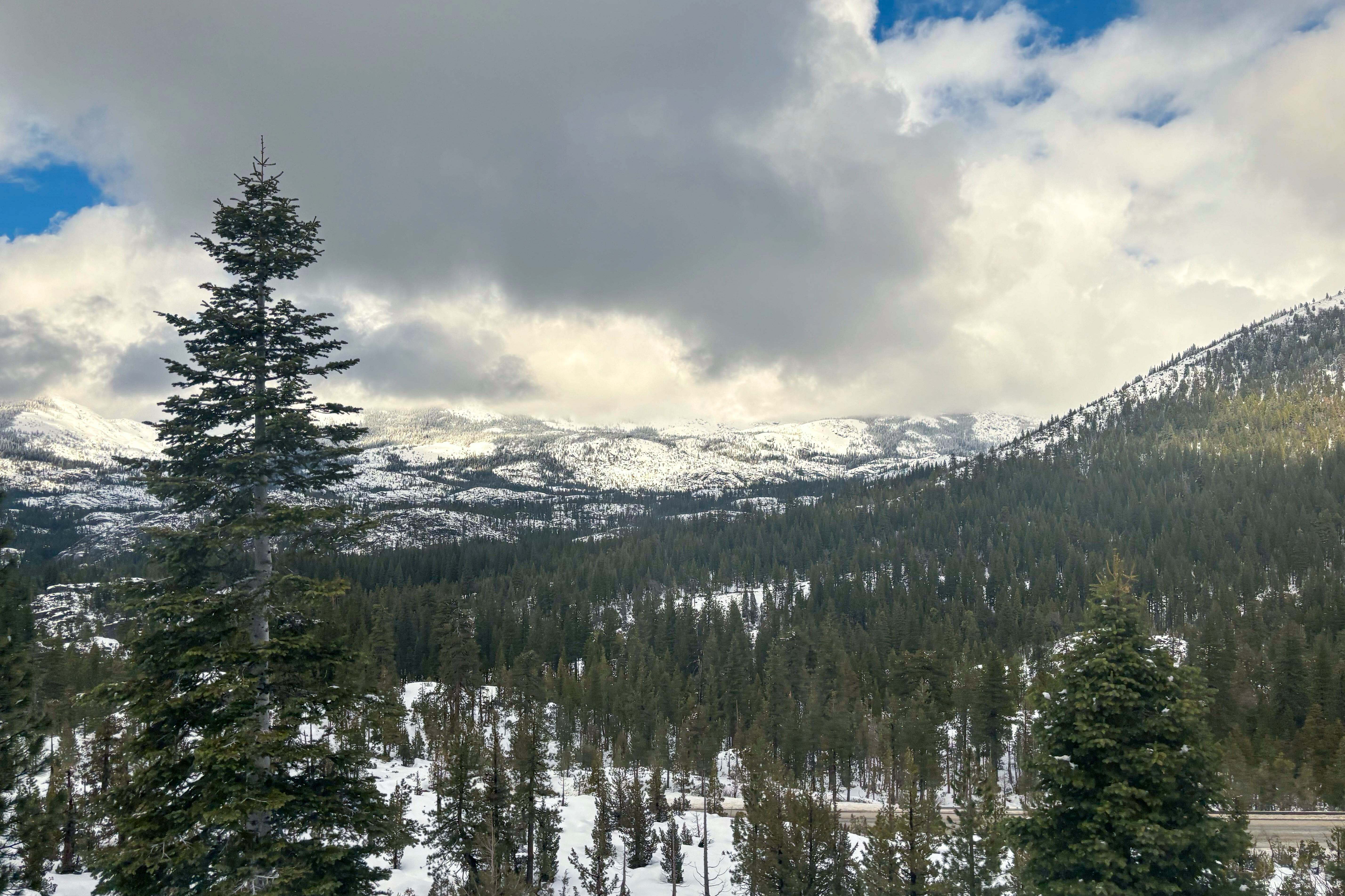 Snowstorm from Mammoth to Tahoe triggers blizzard alert - Vimarsana News