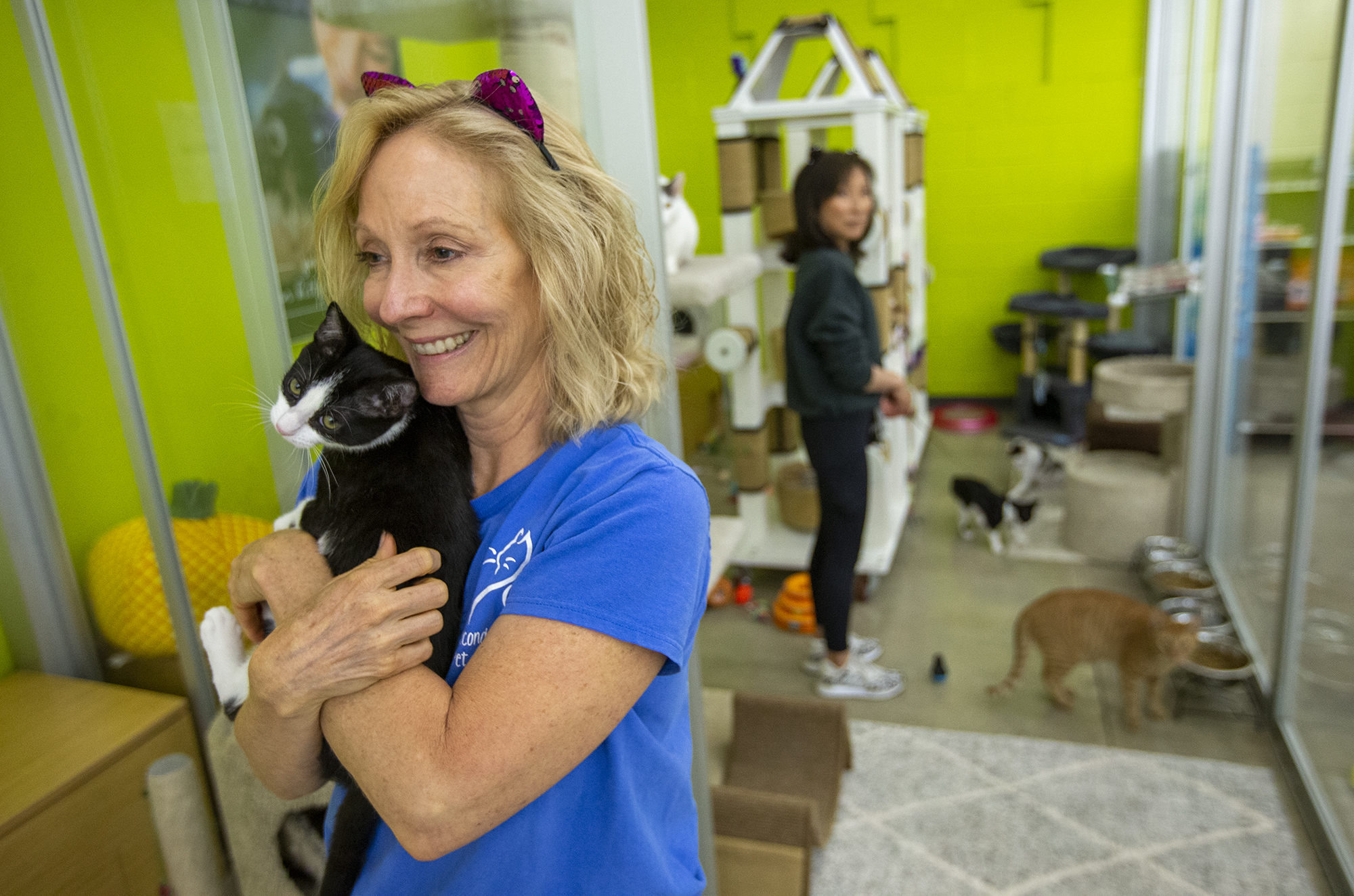 Second Chance receives $6,000 grant to spay and neuter Orange County cats - Vimarsana News