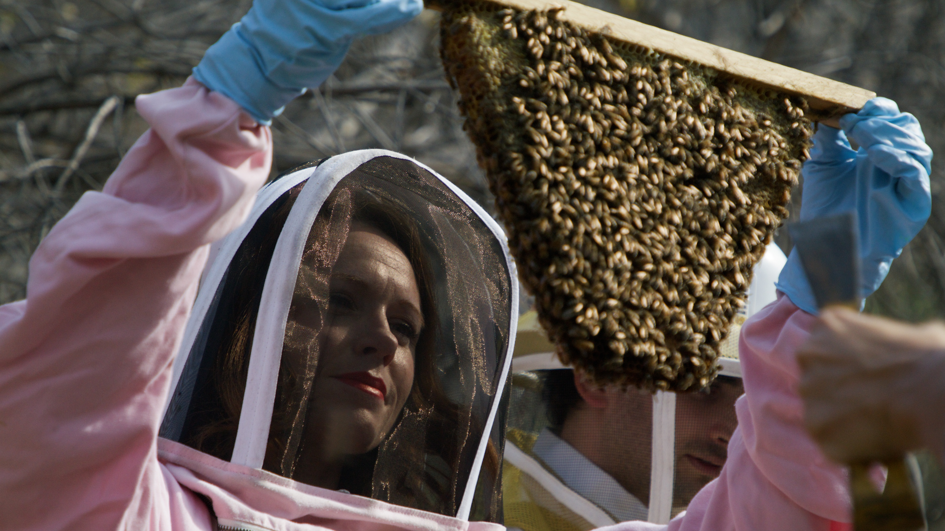 Entering the sacred realm of the bees with honey bee therapy - Vimarsana News