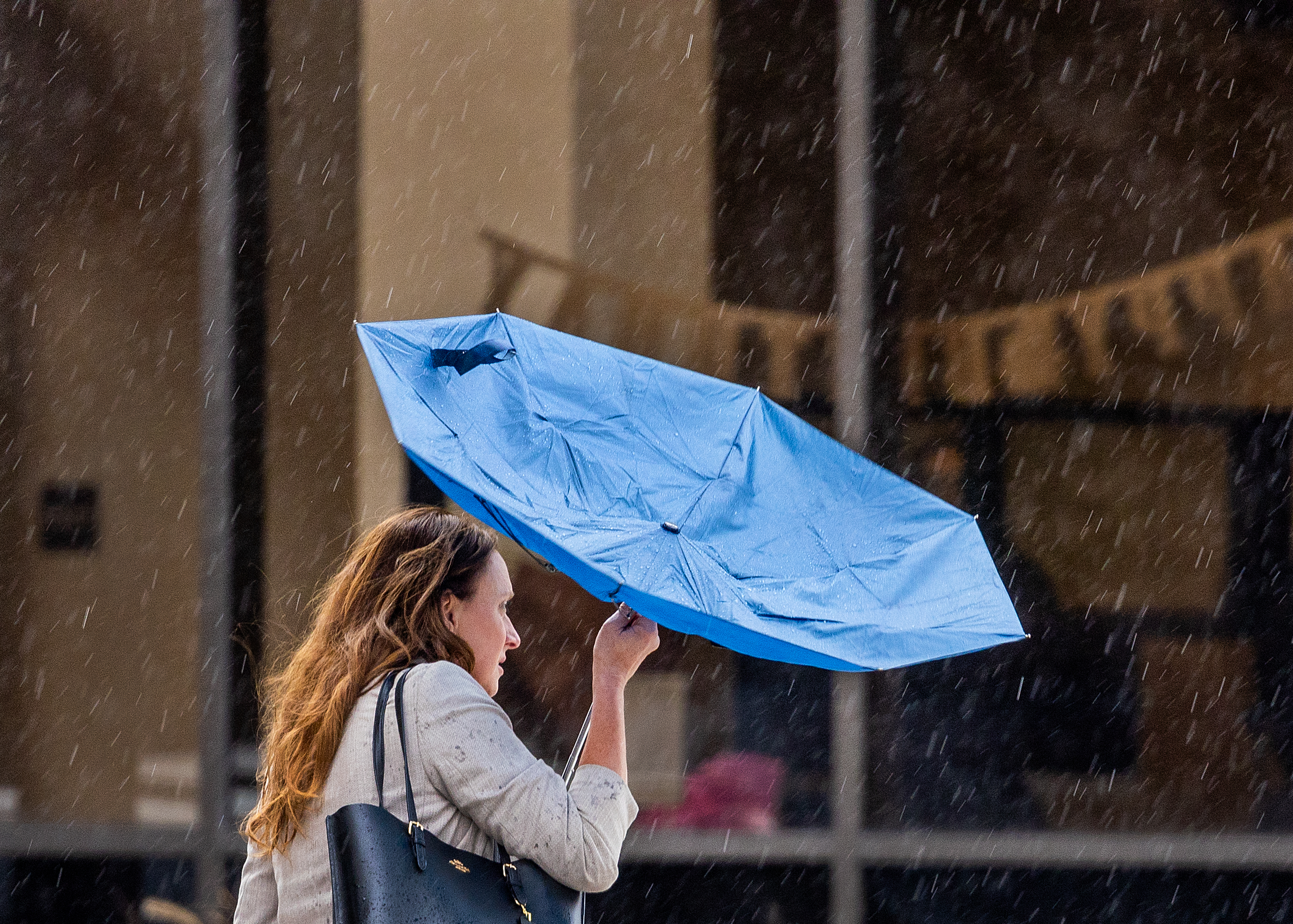 Easter rain: Storm timing in L.A. and what's been canceled - Vimarsana News