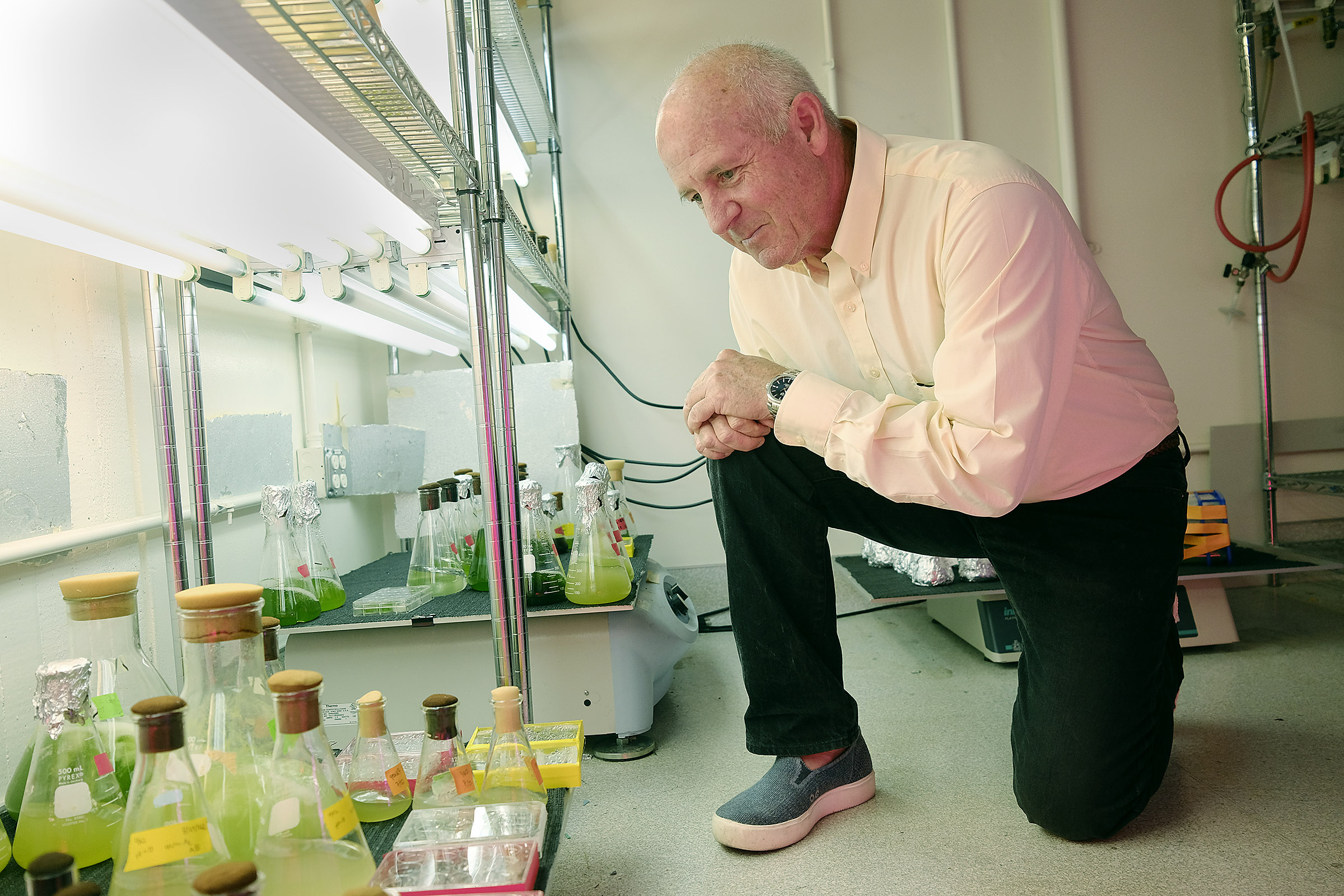 UC San Diego hopes to stomp out plastic pollution with these $135 shoes made from algae - Vimarsana News