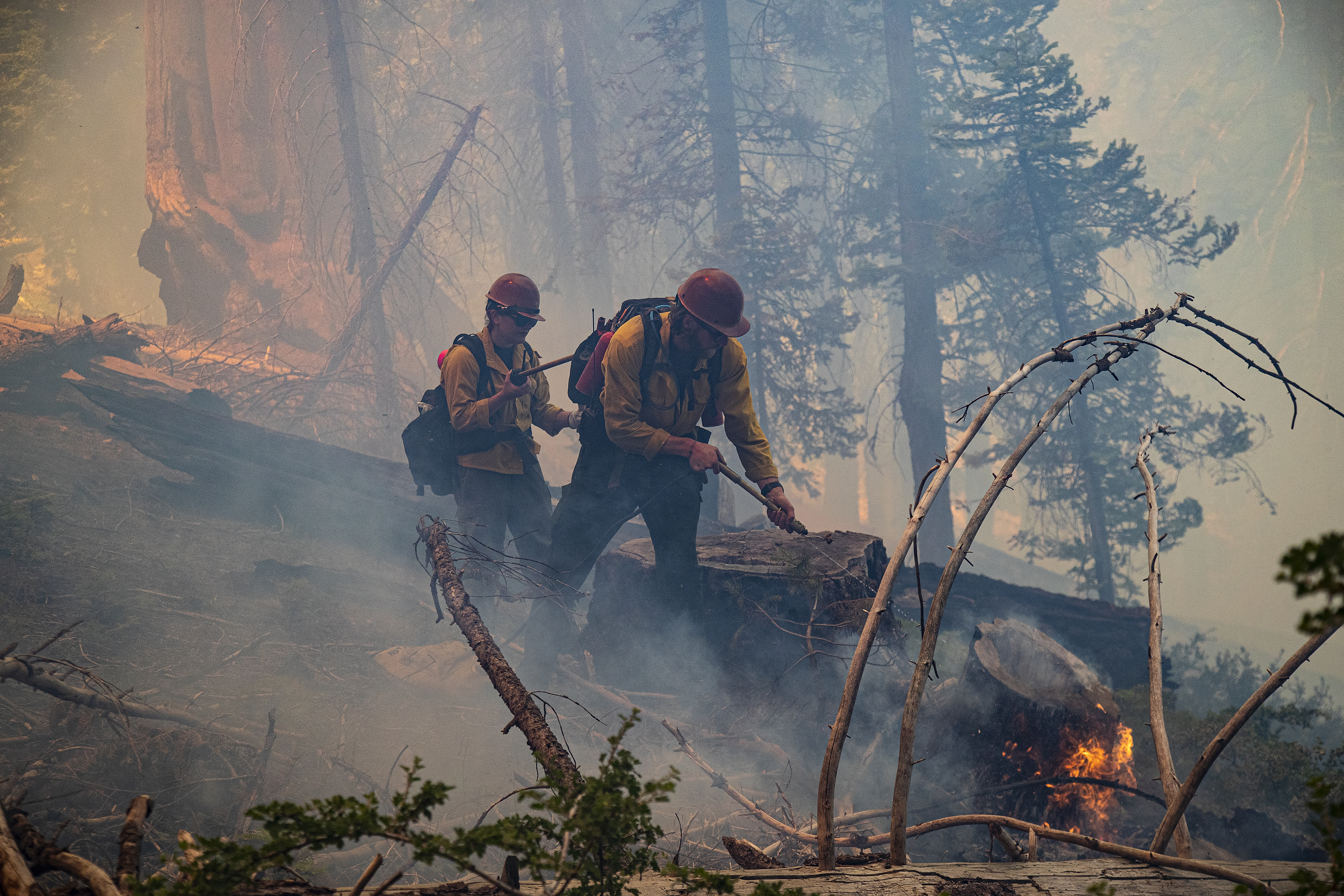 California hopes to encourage more 'good fire' - Los Angeles Times - Vimarsana News